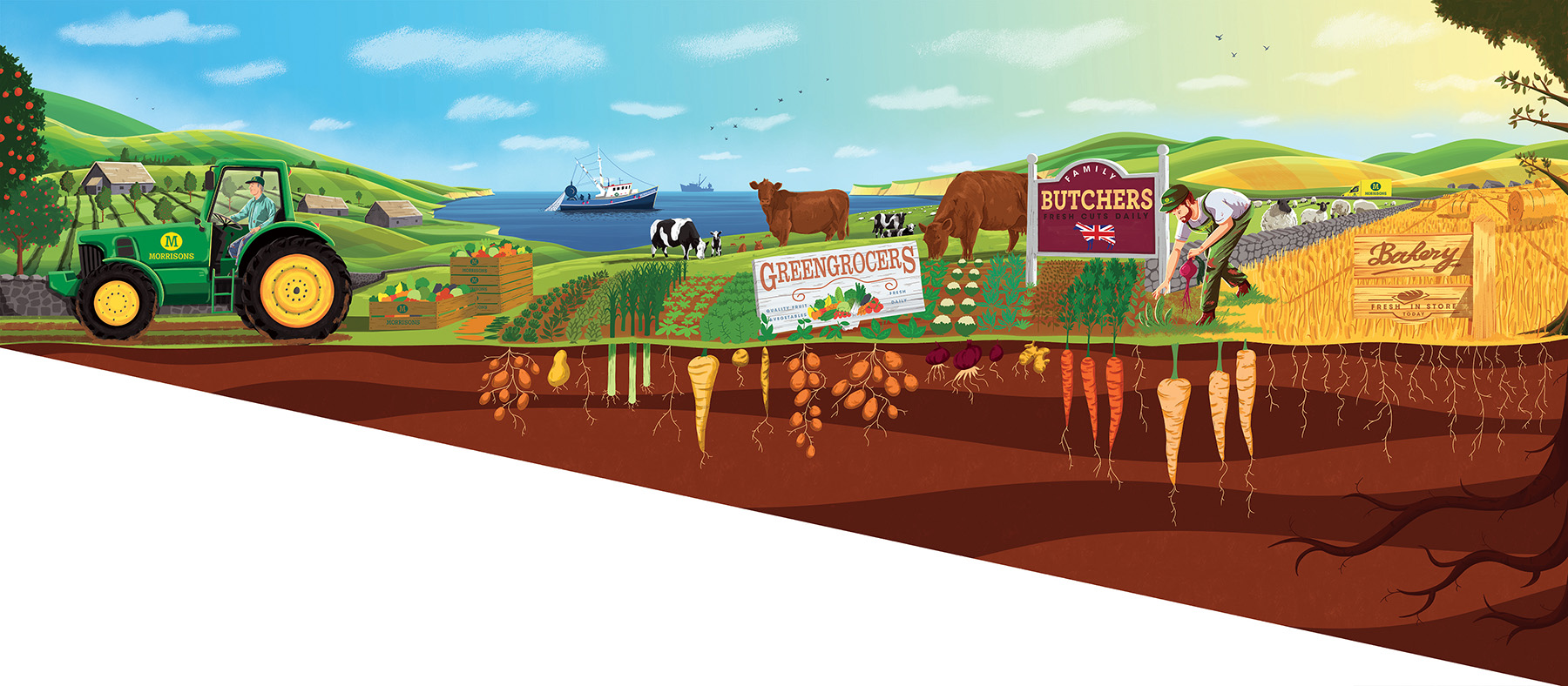 Mural Supermarket Food  ILLUSTRATION  illustrated advert farming veget (2).jpg