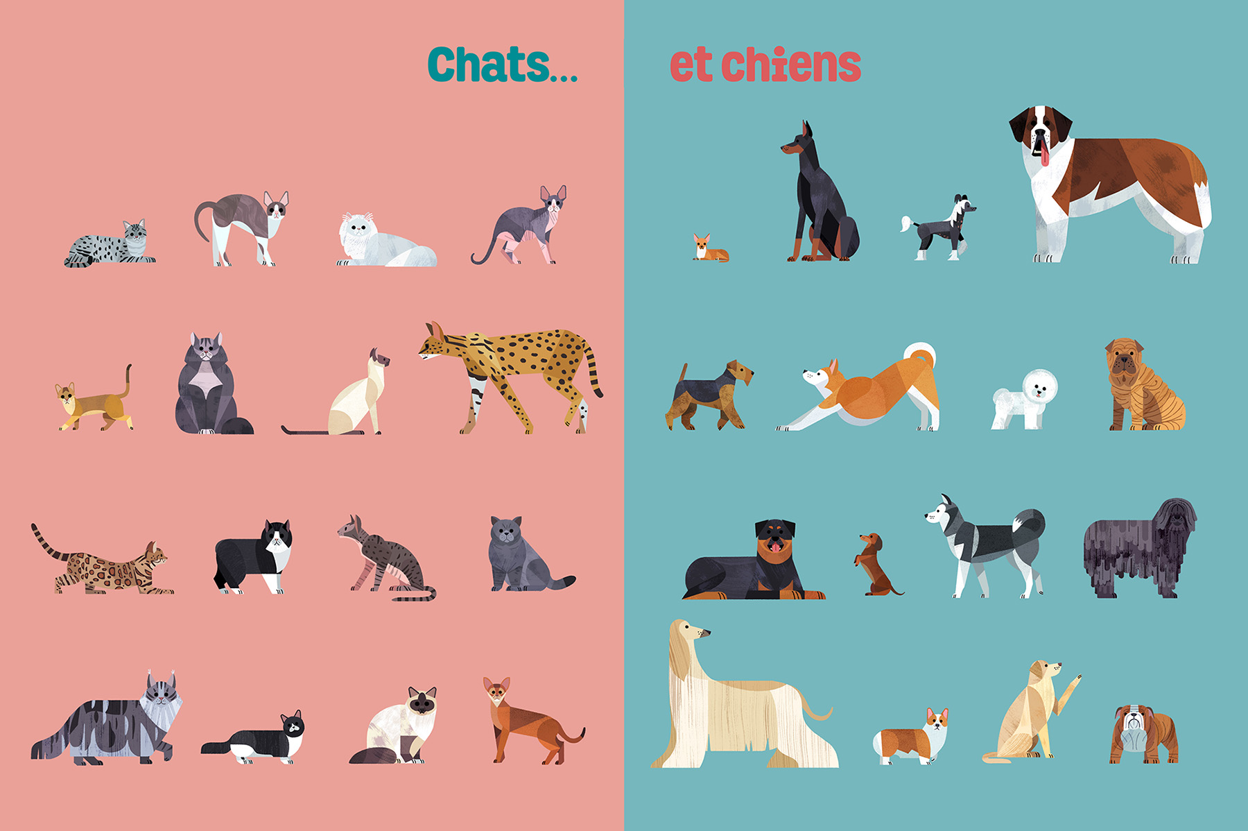 dog Cat Planets kid animals fish mammal.jpg