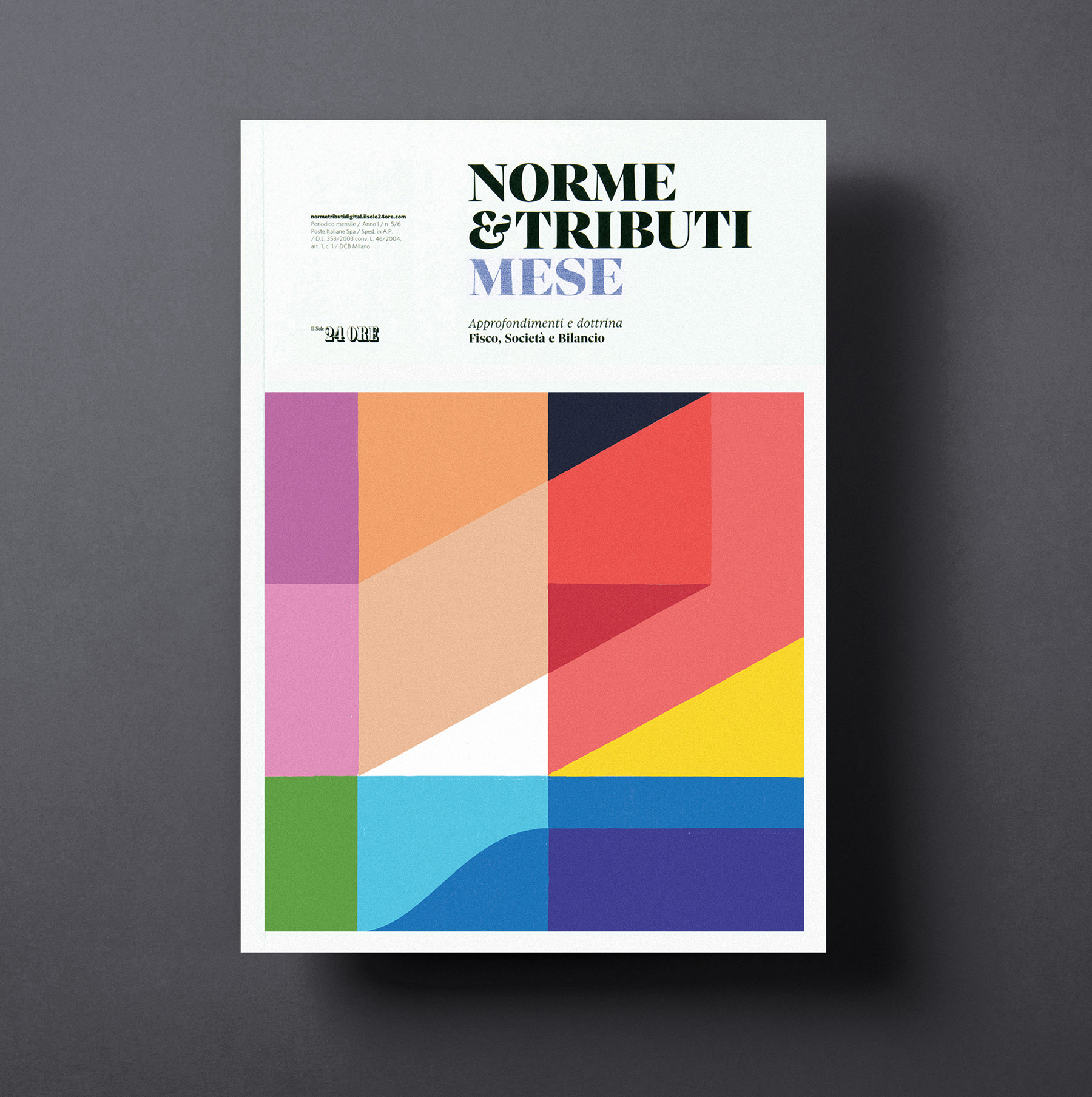 cover magazine ILLUSTRATION  milan rayoranges (5).jpg