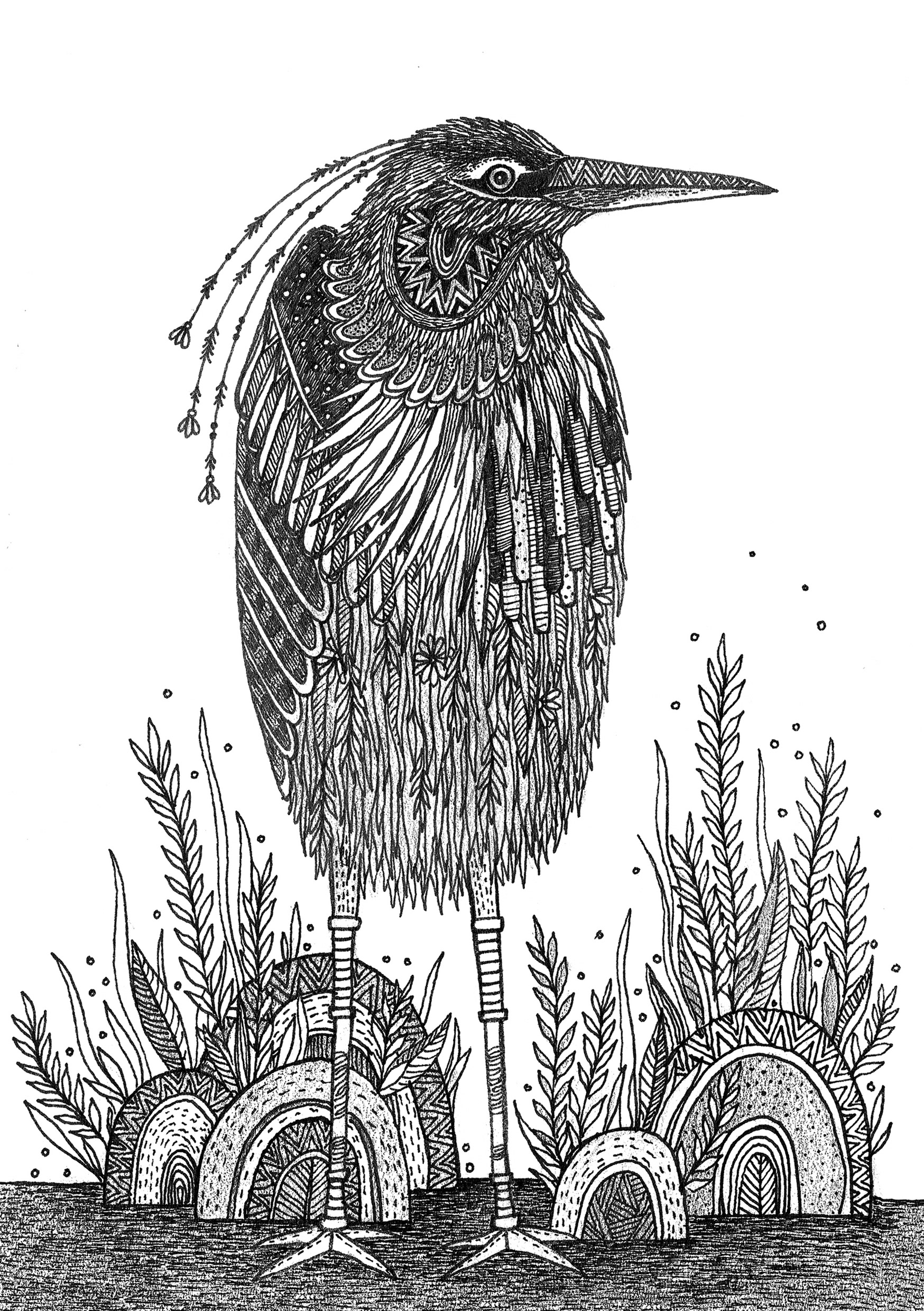 bird watching birds eagle hand drawn heron inking pattern pen and ink (6).jpg