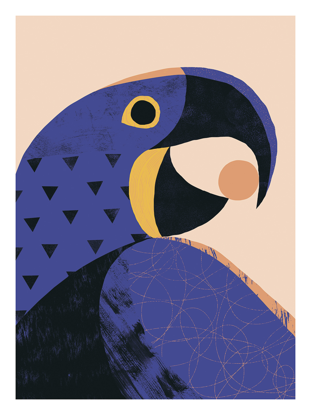 jaguar macaw bird otter frame homedecor conservation rainforest jungle.jpg