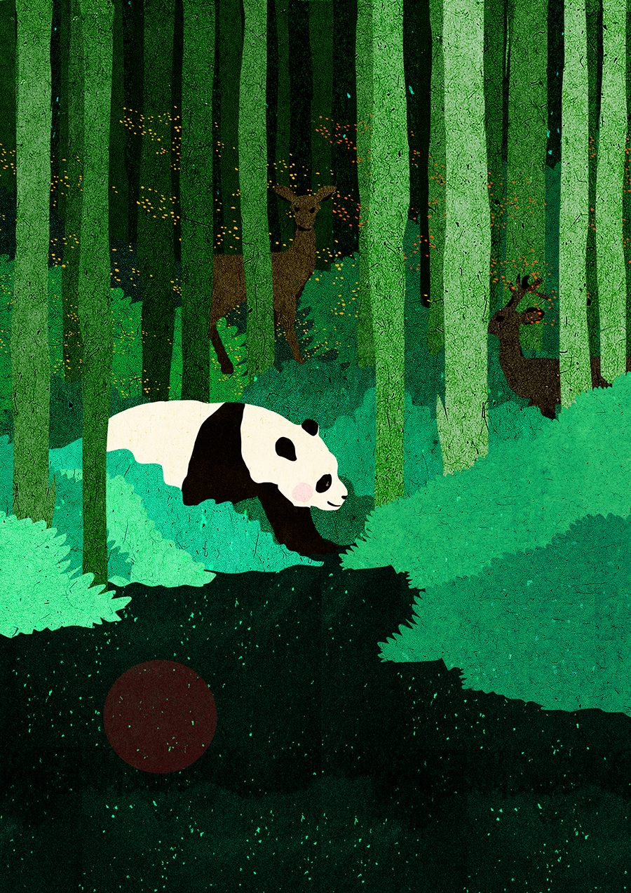 Panda (7).jpg