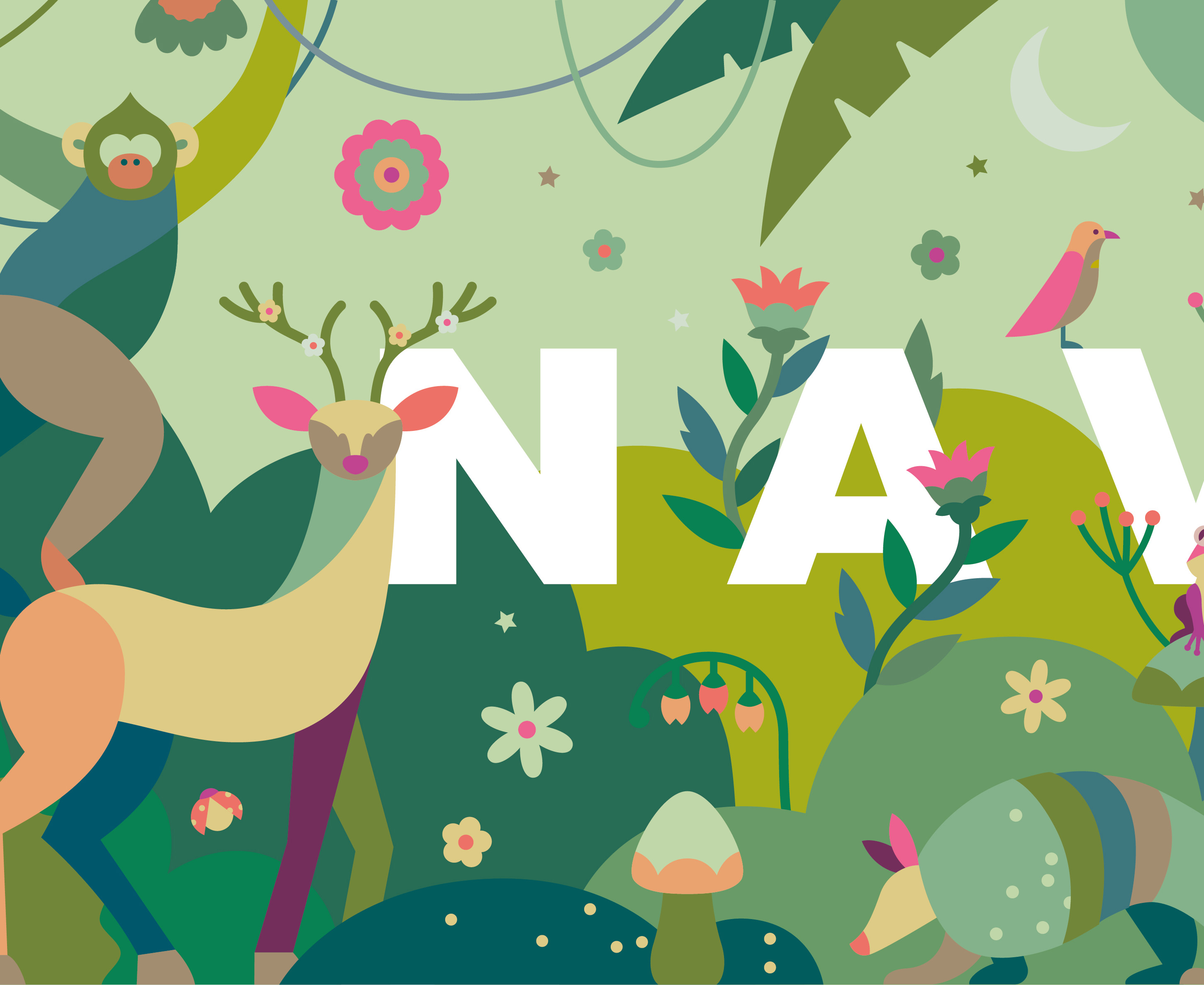 animals eco flower forest green jungle Nature NAVER (4).jpg