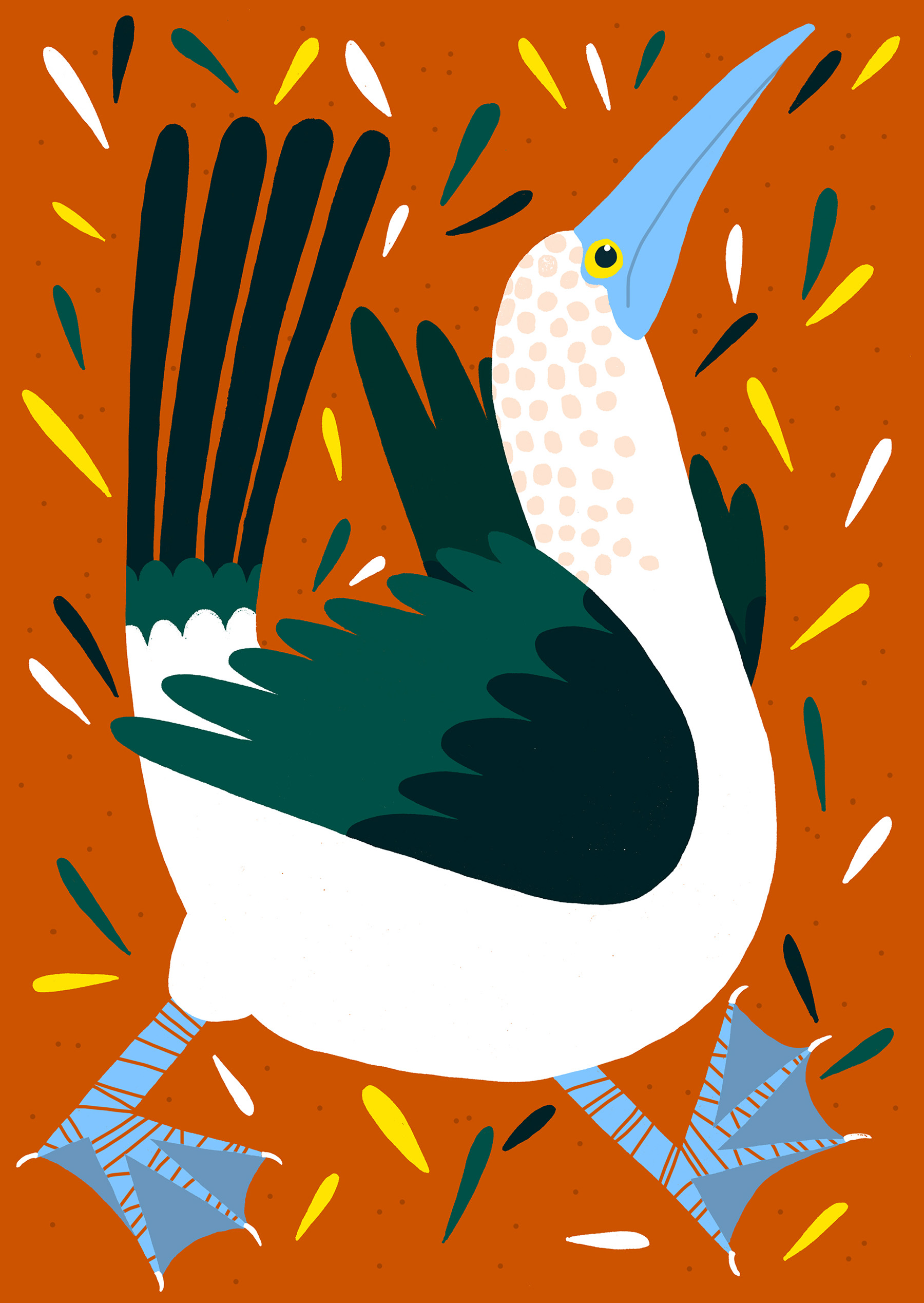 bird birds animals duck mallard hornbill cockatiel Rooster pigeon dove (13).jpg