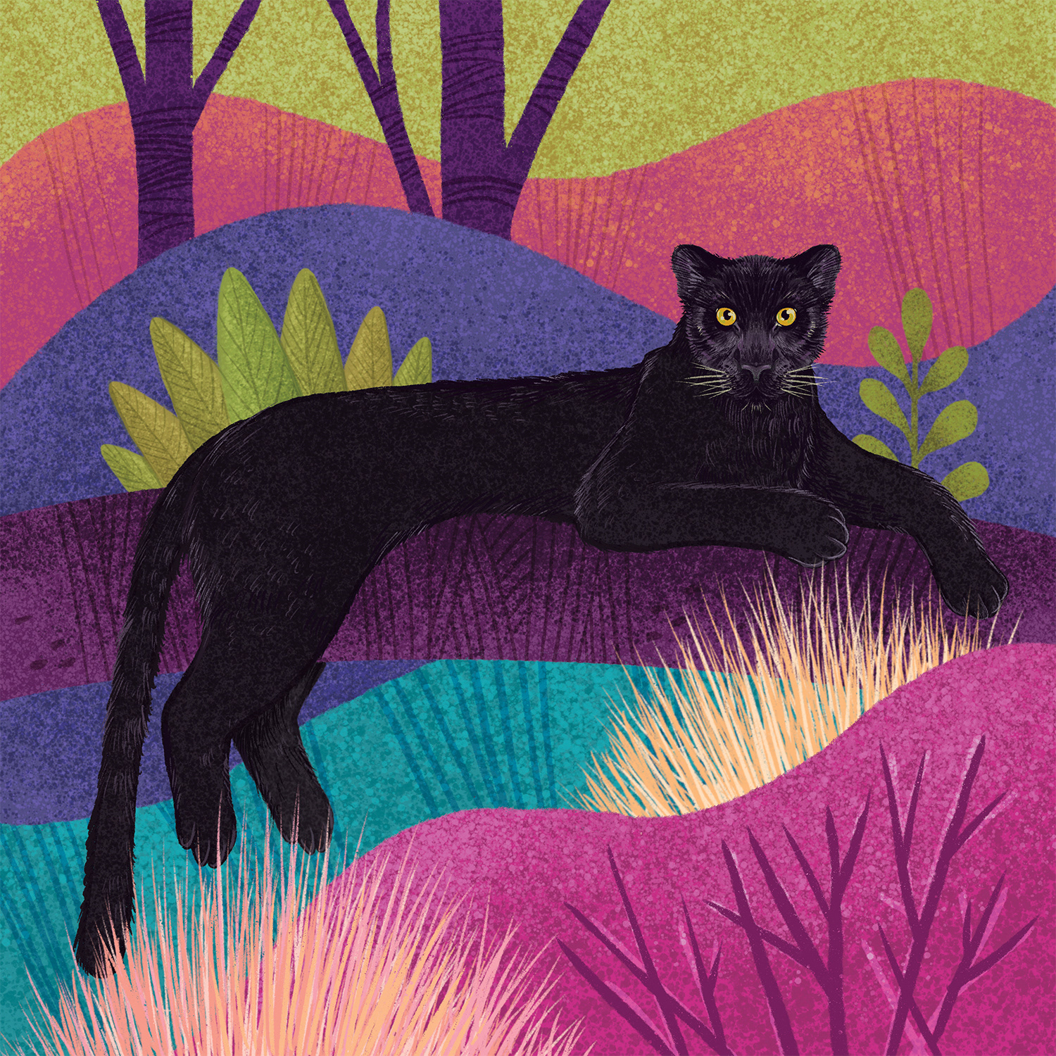 big cat India leopard lion lynx tiger WWF black panther forest Snow Le.jpg