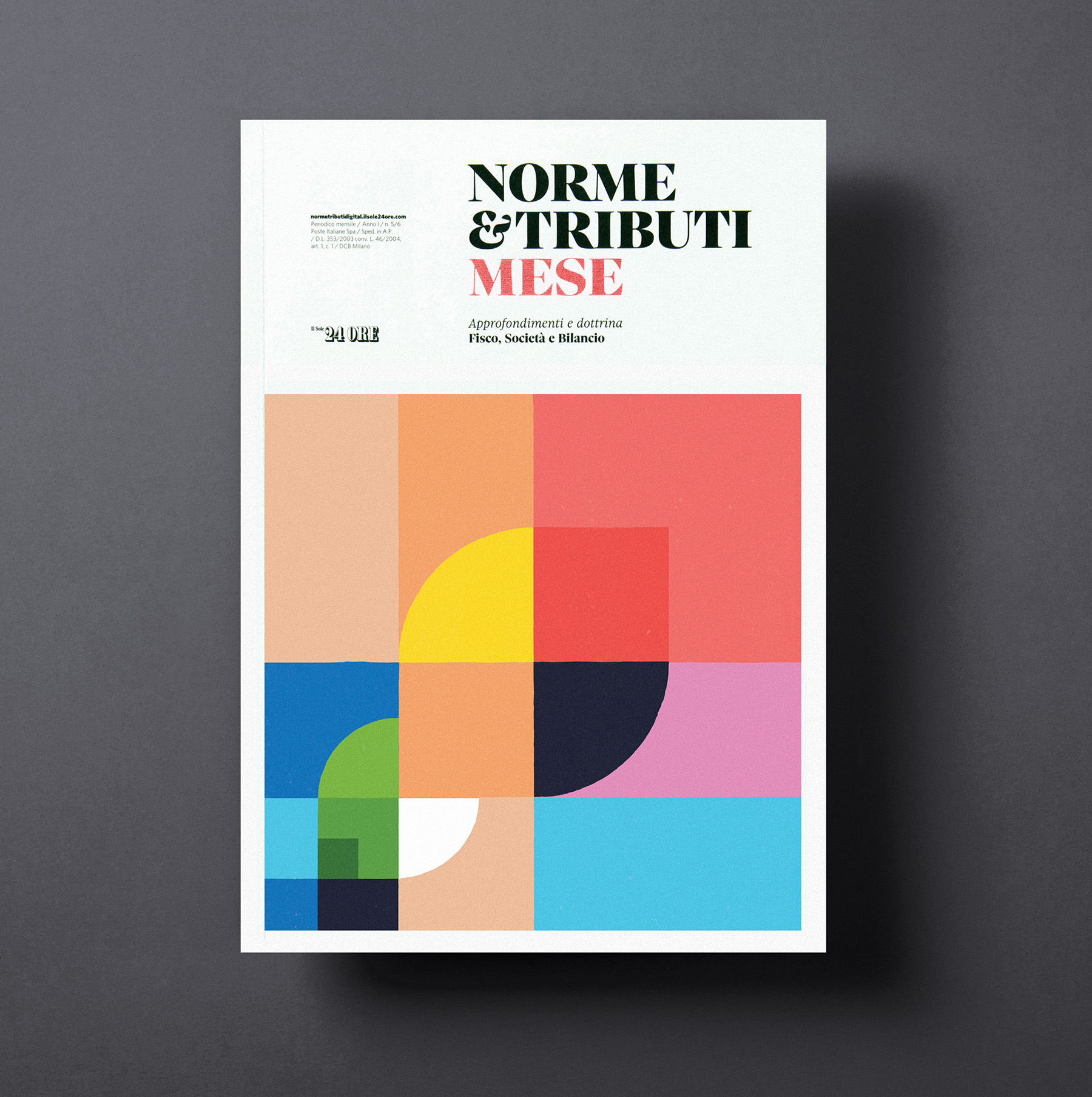 cover magazine ILLUSTRATION  milan rayoranges (2).jpg
