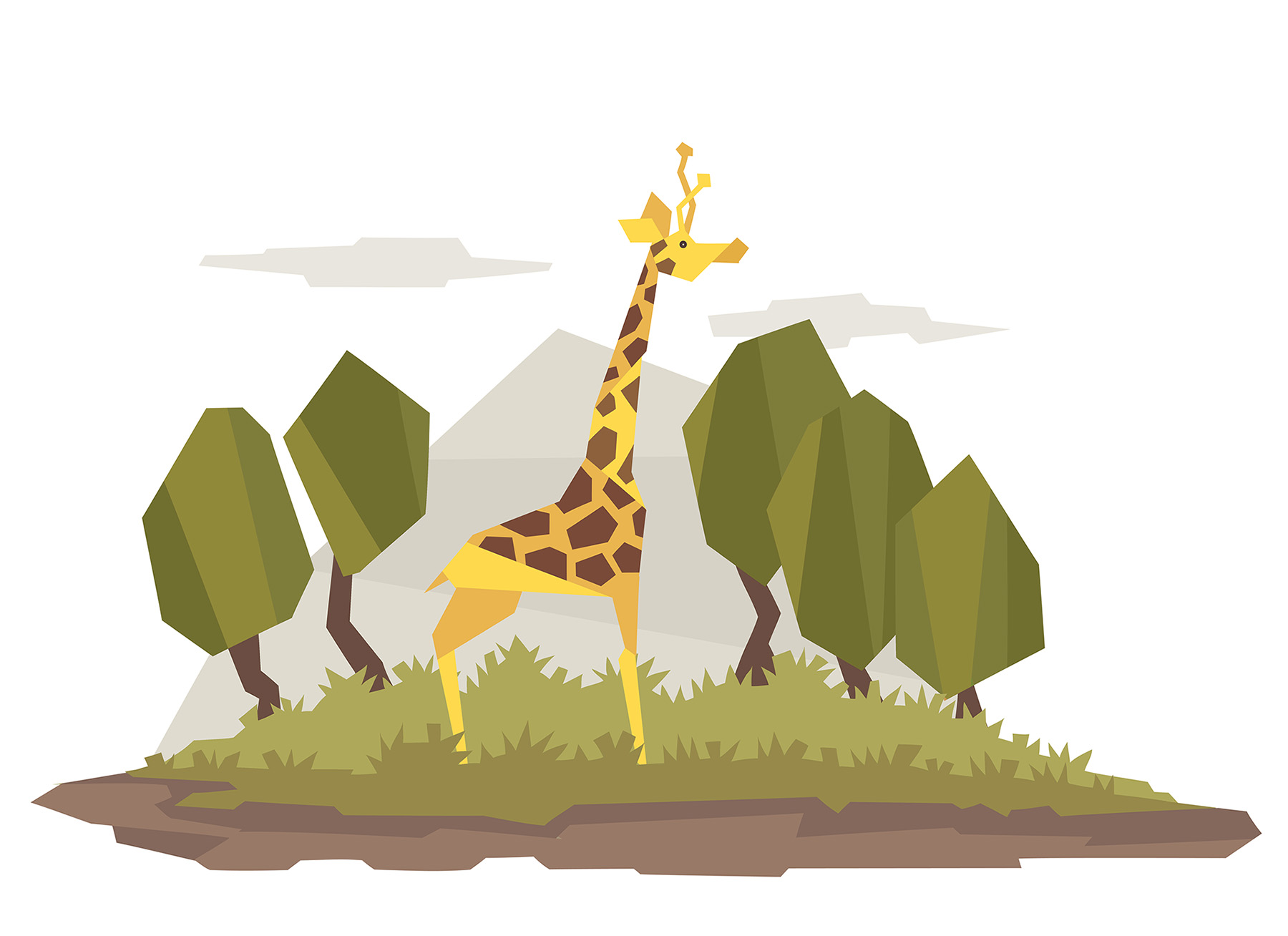 lion tiger monkey deer elephant zebra giraffe bison Hippopotamus Rhino (8).jpg