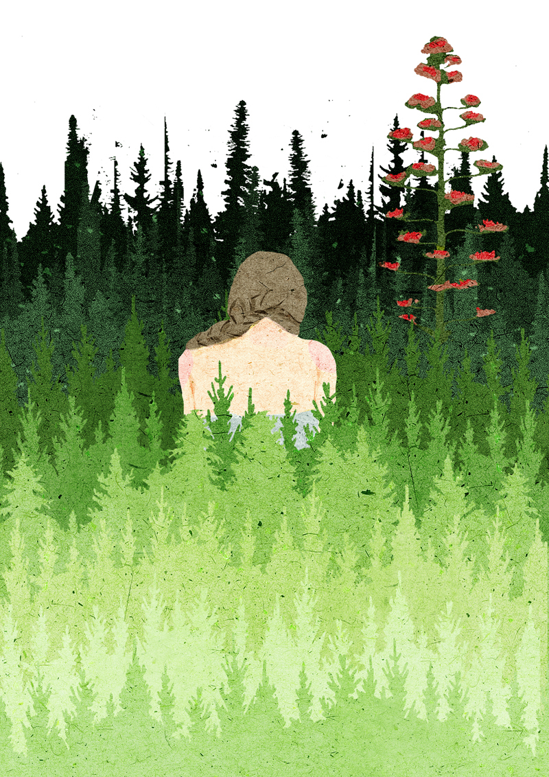 landcape photoshop season river mountain pine (7).jpg