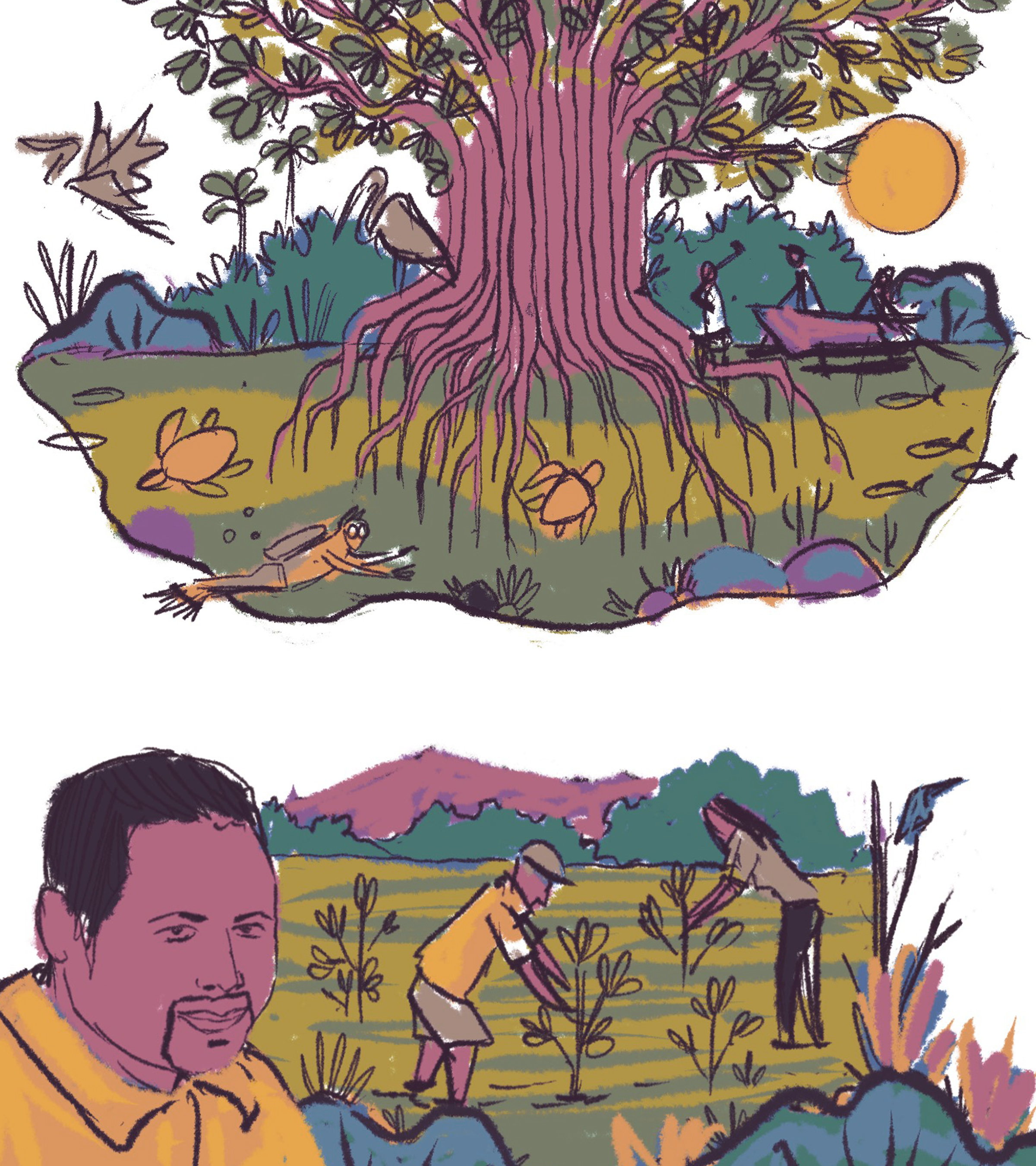 EDITORIAL WILDLIFE PROJECTS on Behance.jpg