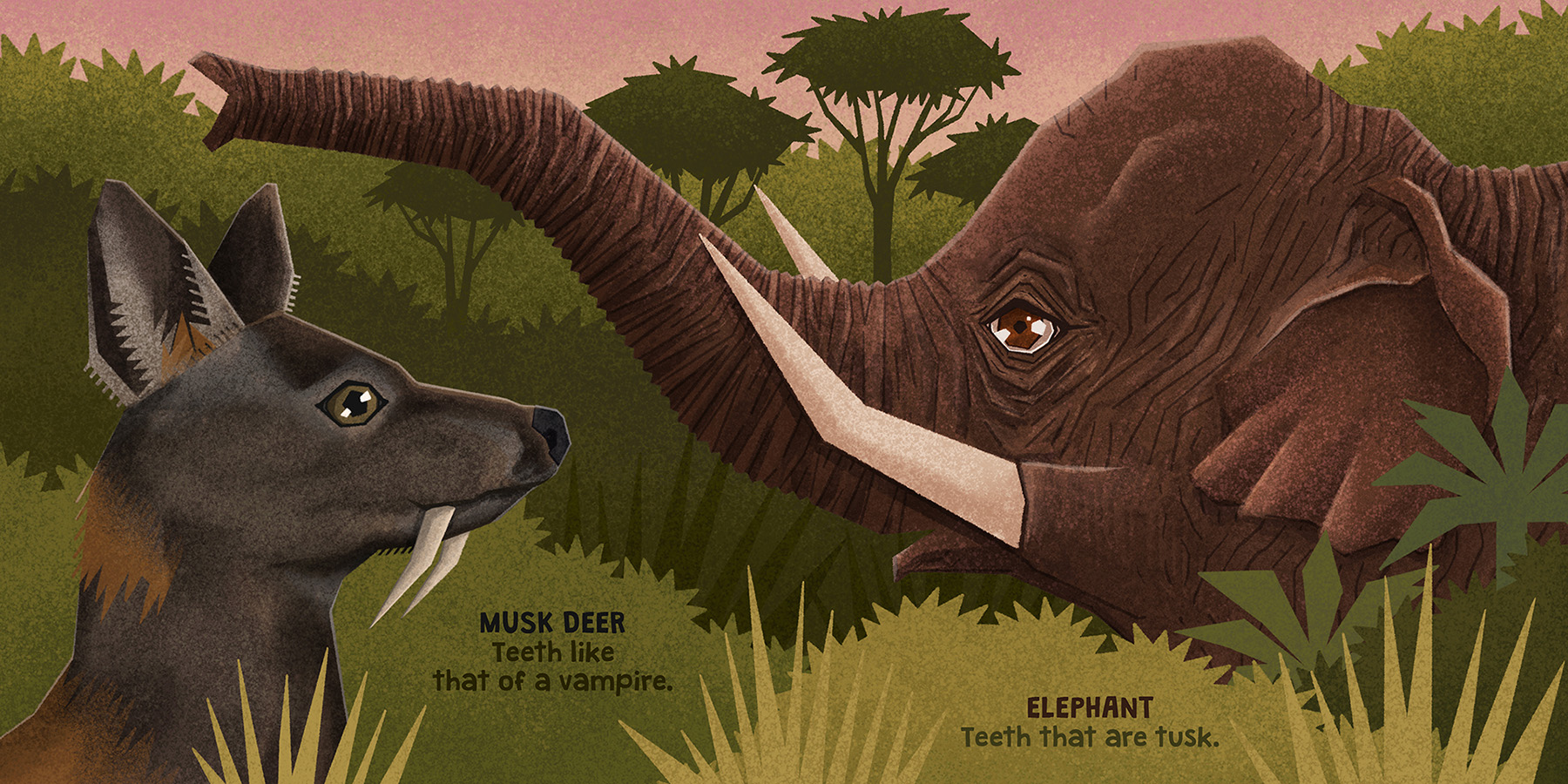 animal illustration childrens book digital illustration Picture book t (4).jpg