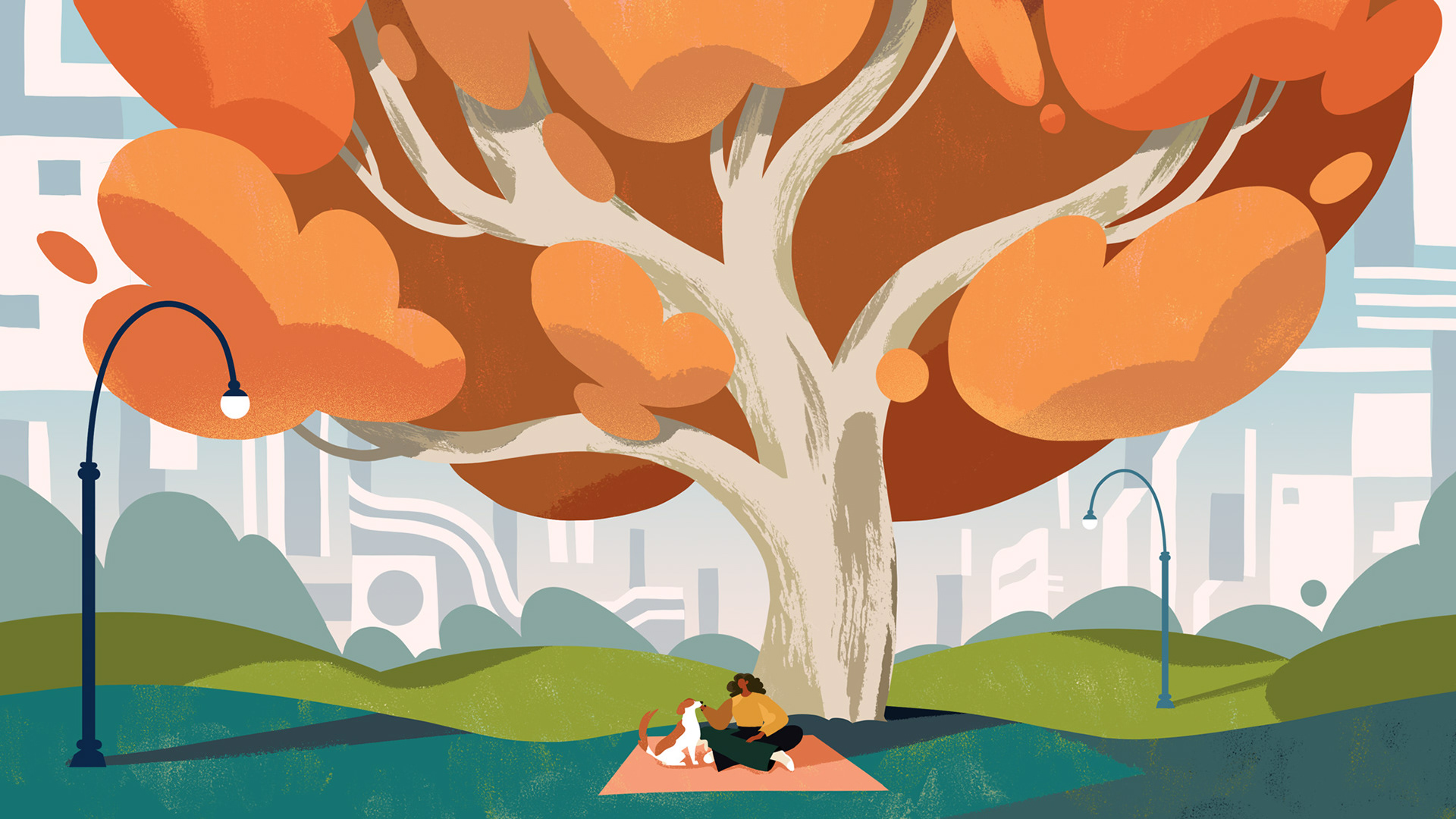 animation  built for zero homelessness (15).jpg