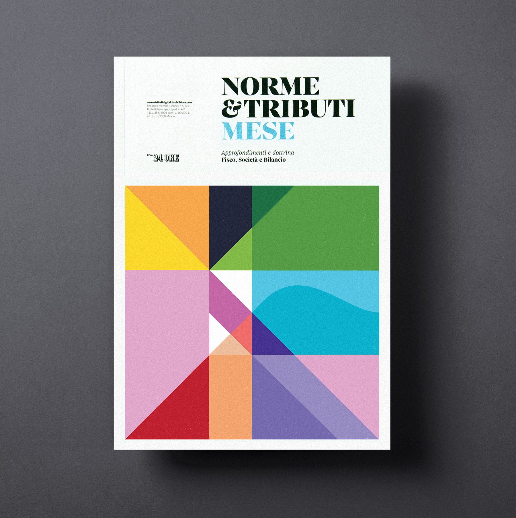 cover magazine ILLUSTRATION  milan rayoranges (3).jpg