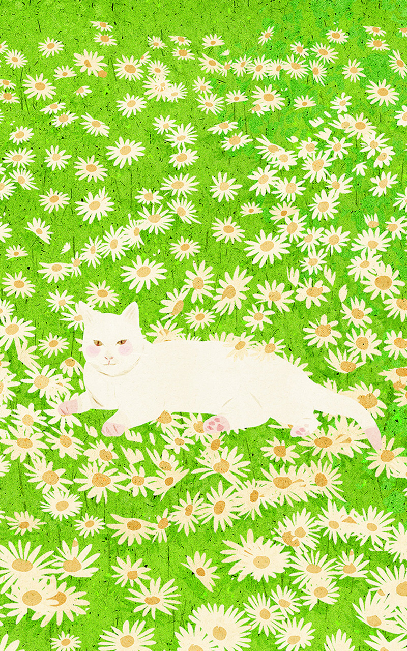 animal artwork cartoon Cat digital illustration Drawing  painting (13).jpg