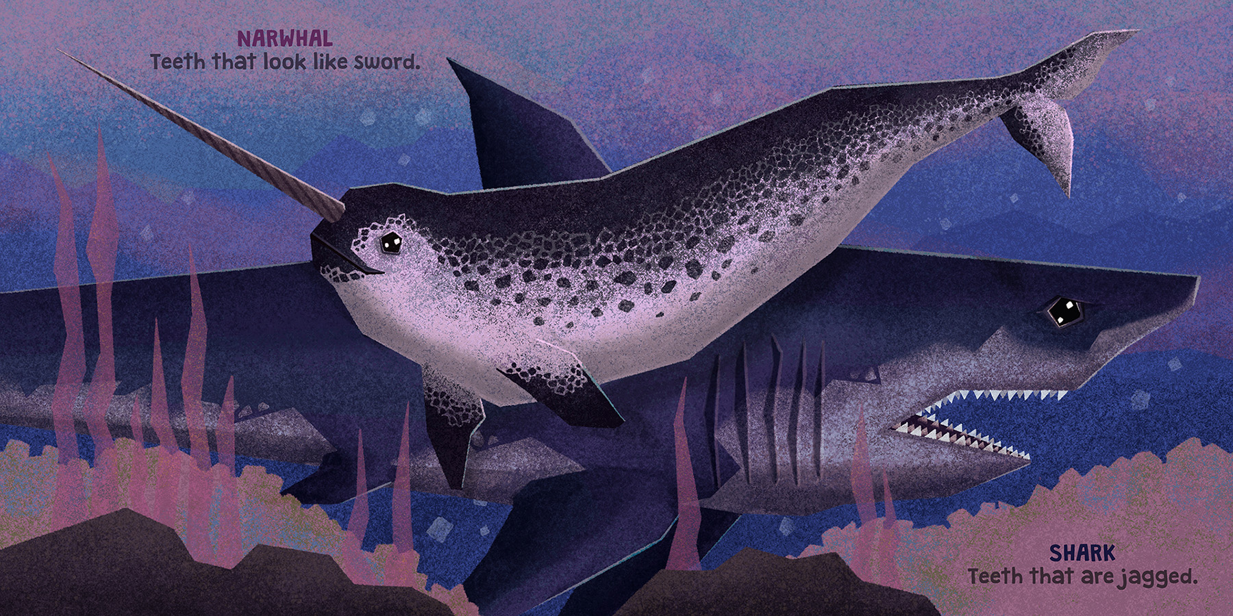 animal illustration childrens book digital illustration Picture book t (5).jpg