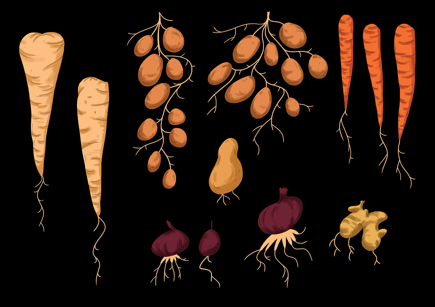Mural Supermarket Food  ILLUSTRATION  illustrated advert farming veget (4).jpg