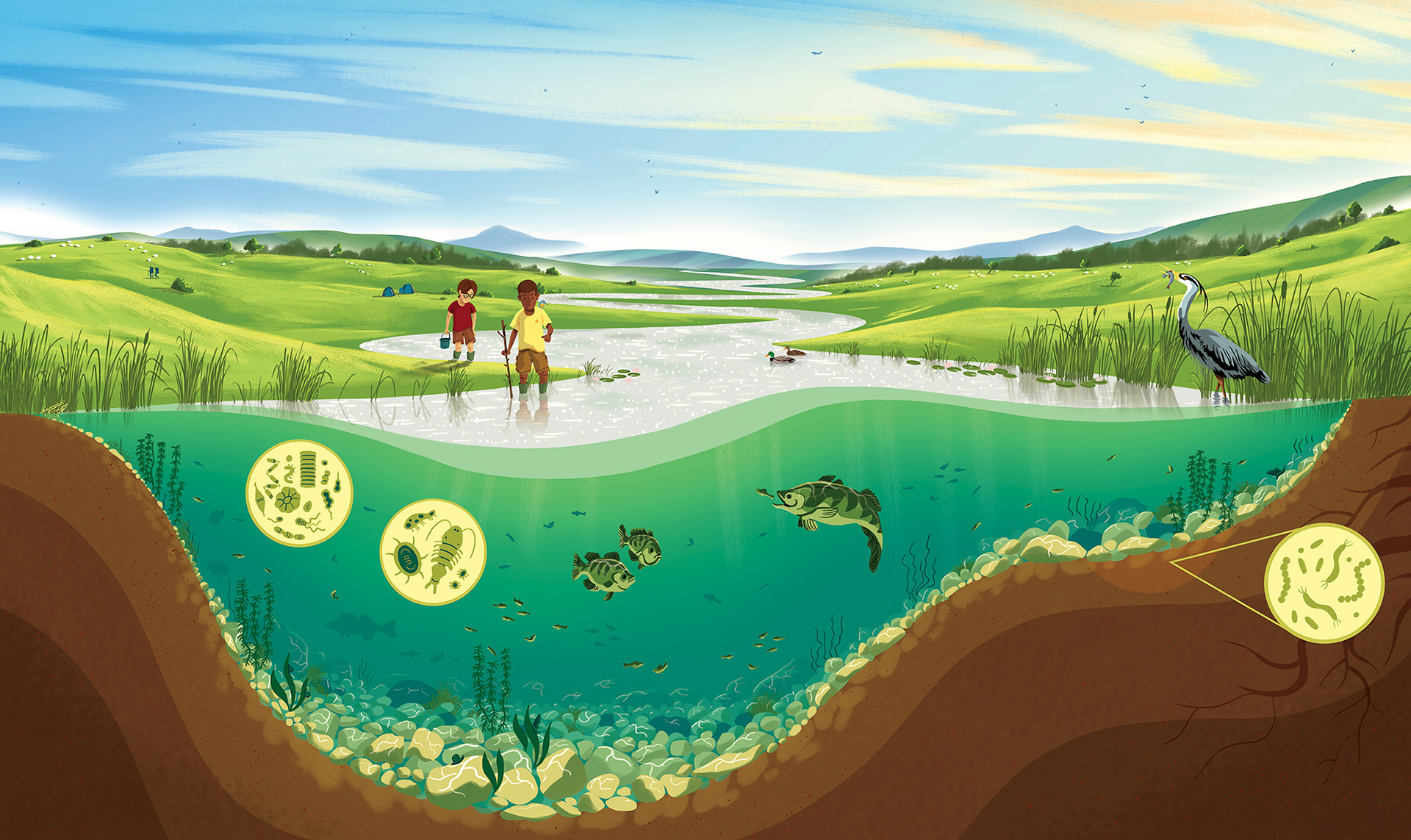 planet earth ILLUSTRATION  picturebook non-fiction childrens literatur (3).jpg