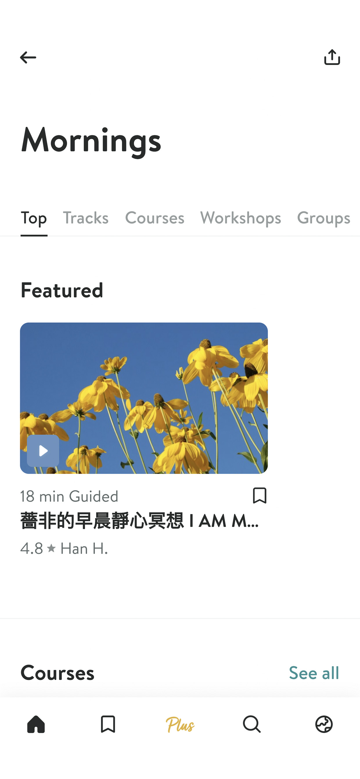 Insight Timer