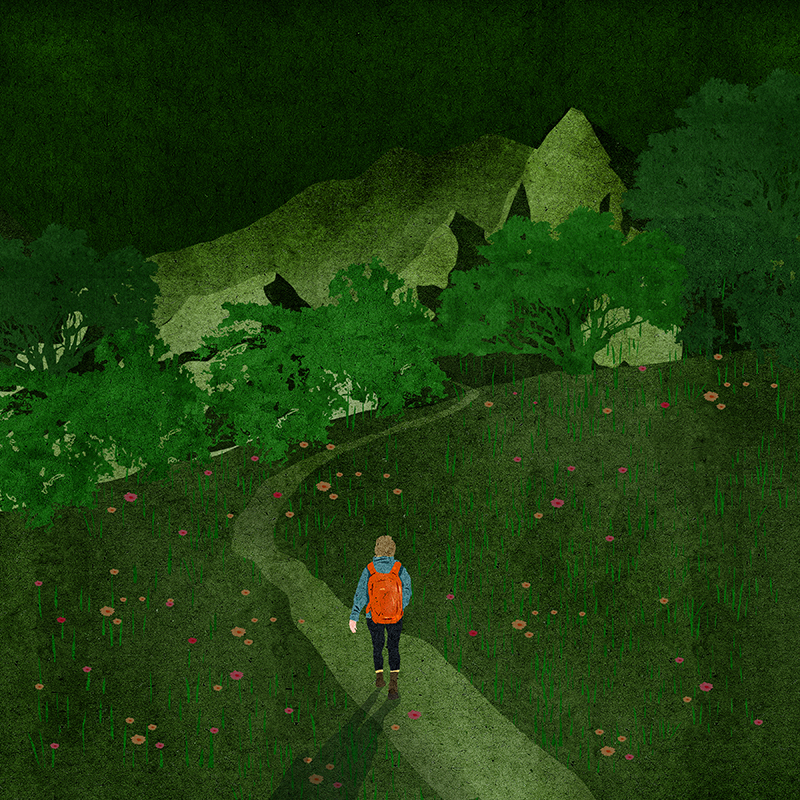 art Flowers ILLUSTRATION  mountain (8).jpg