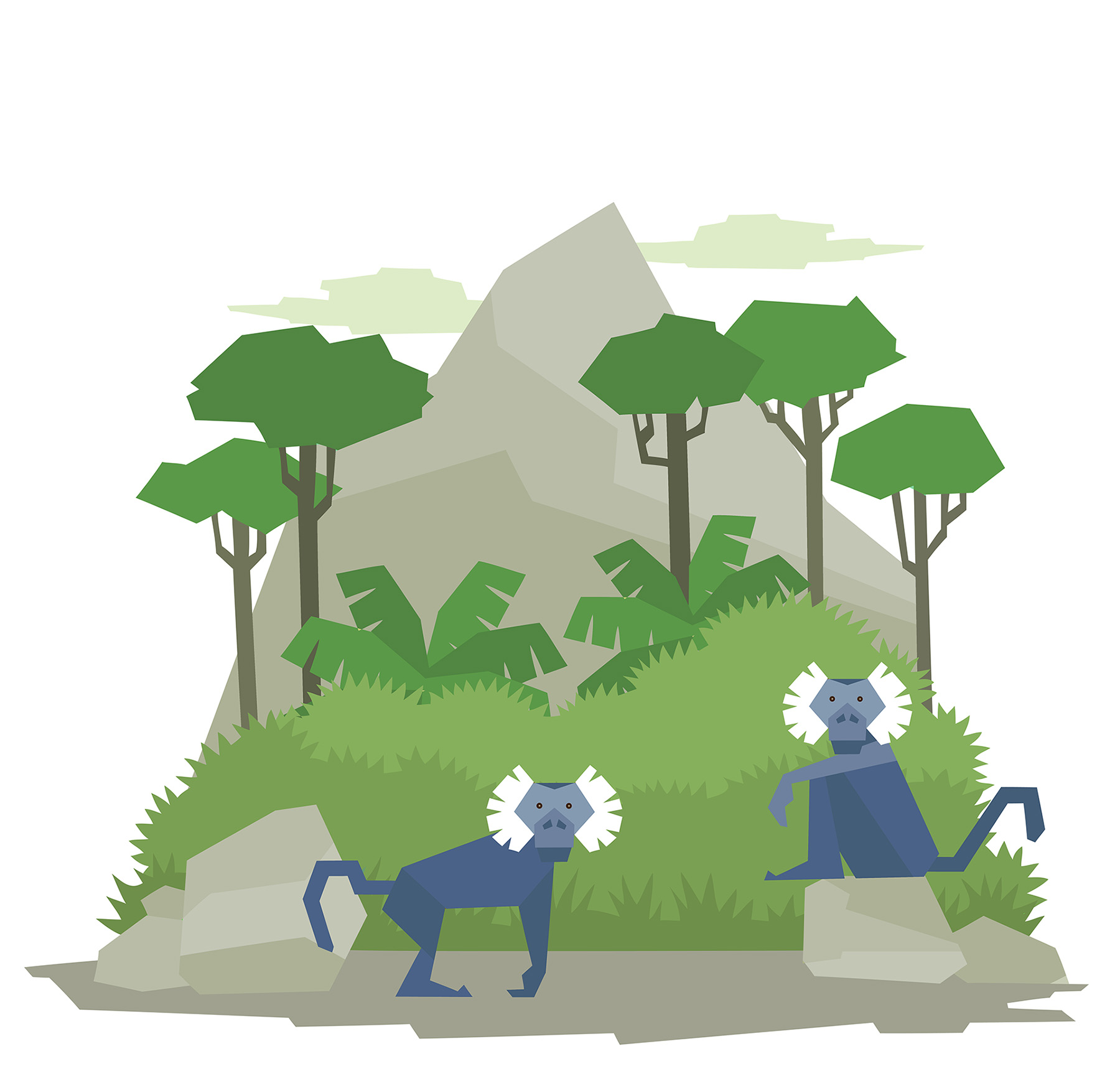lion tiger monkey deer elephant zebra giraffe bison Hippopotamus Rhino (9).jpg