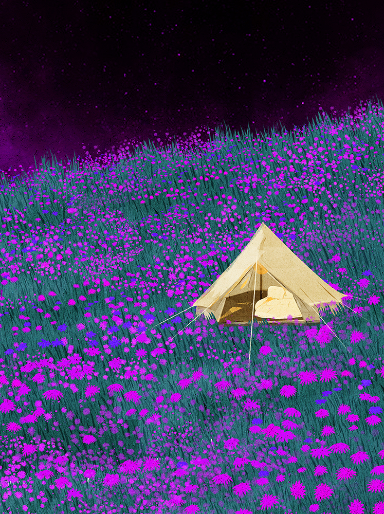 adobe illustrator art artwork camping Digital Art  digital illustratio (3).jpg