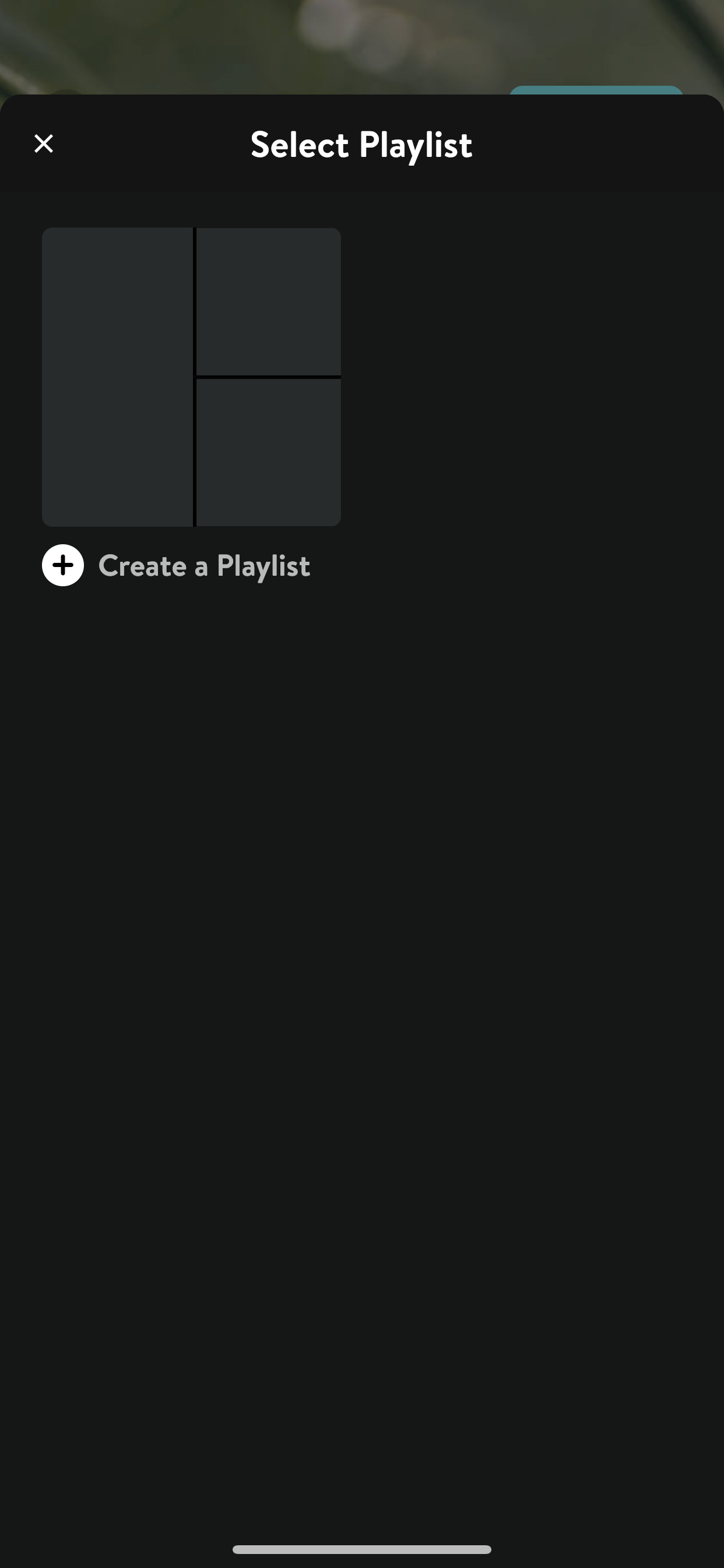 Insight Timer