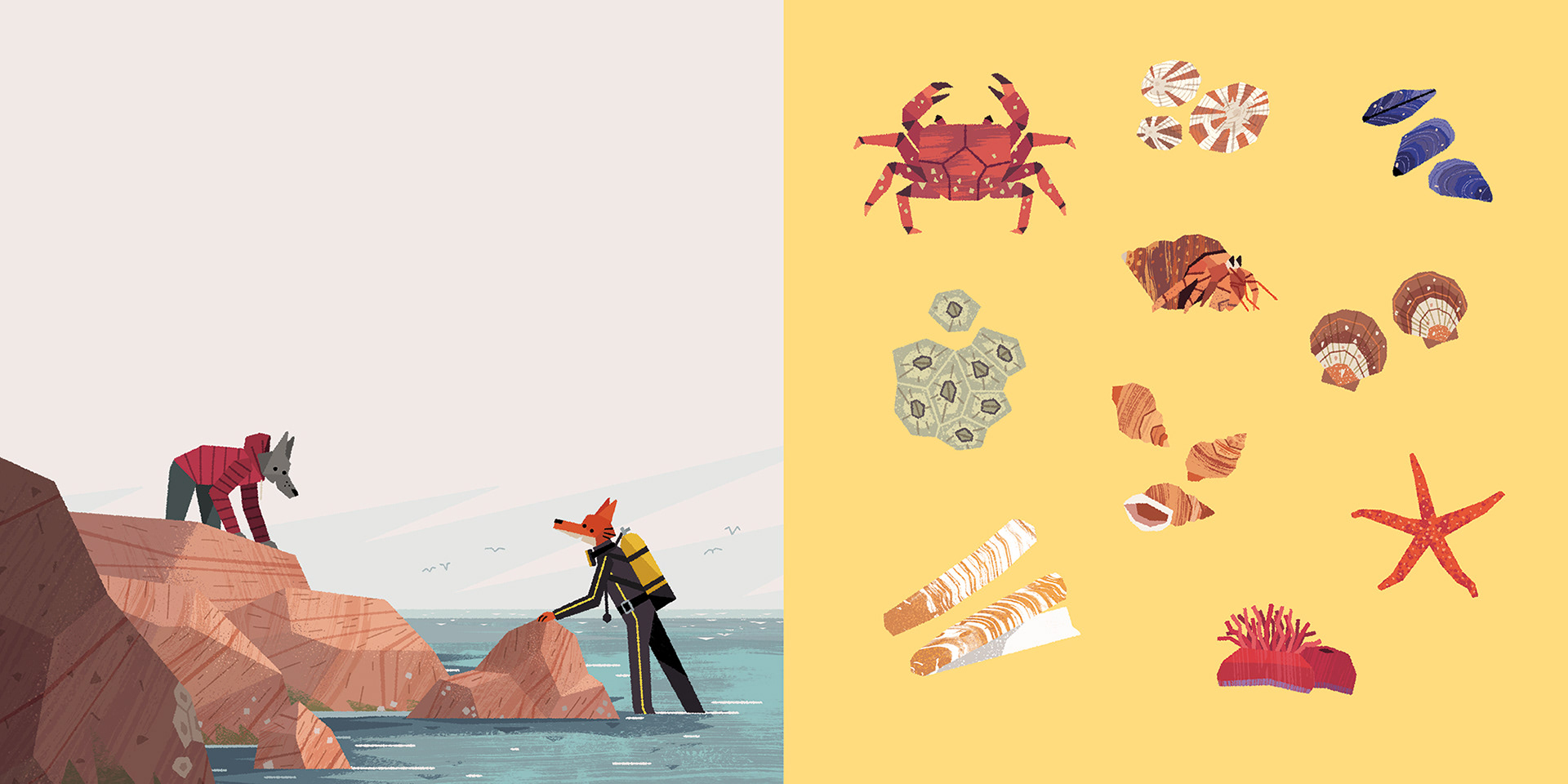 story botany sea Ocean coral conservation (4).jpg