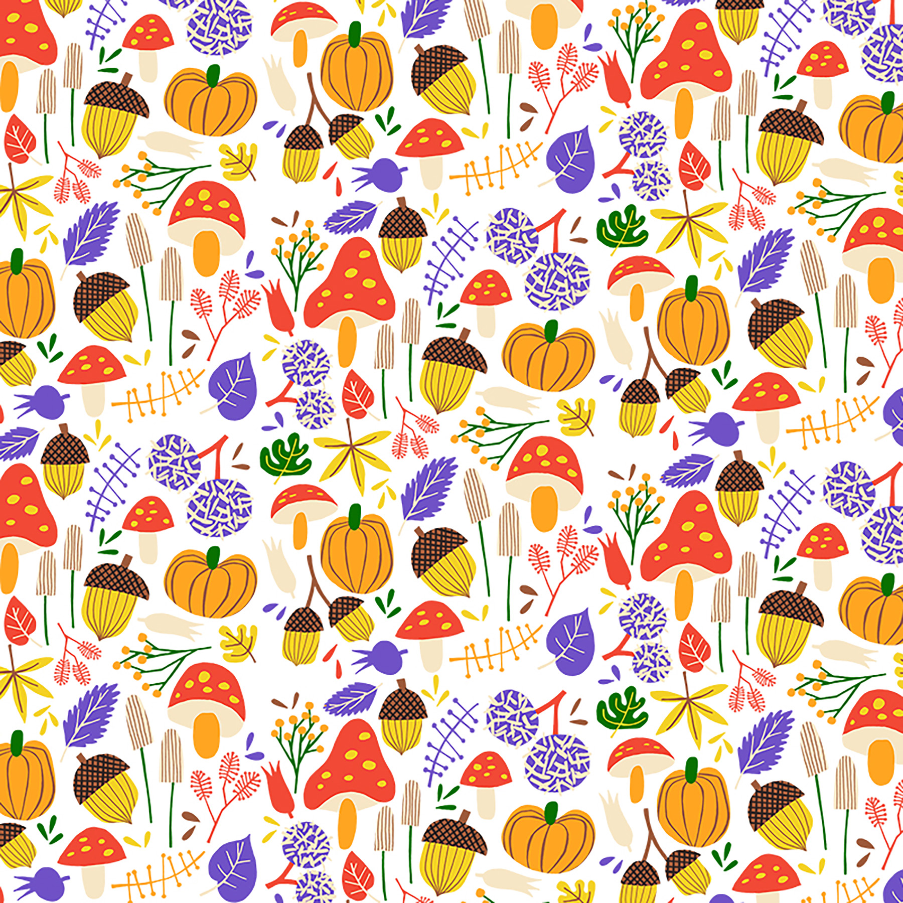 autumn Fall leaf leaves Mushrooms nuts chestnuts pumpkin season Oneday (6).jpg