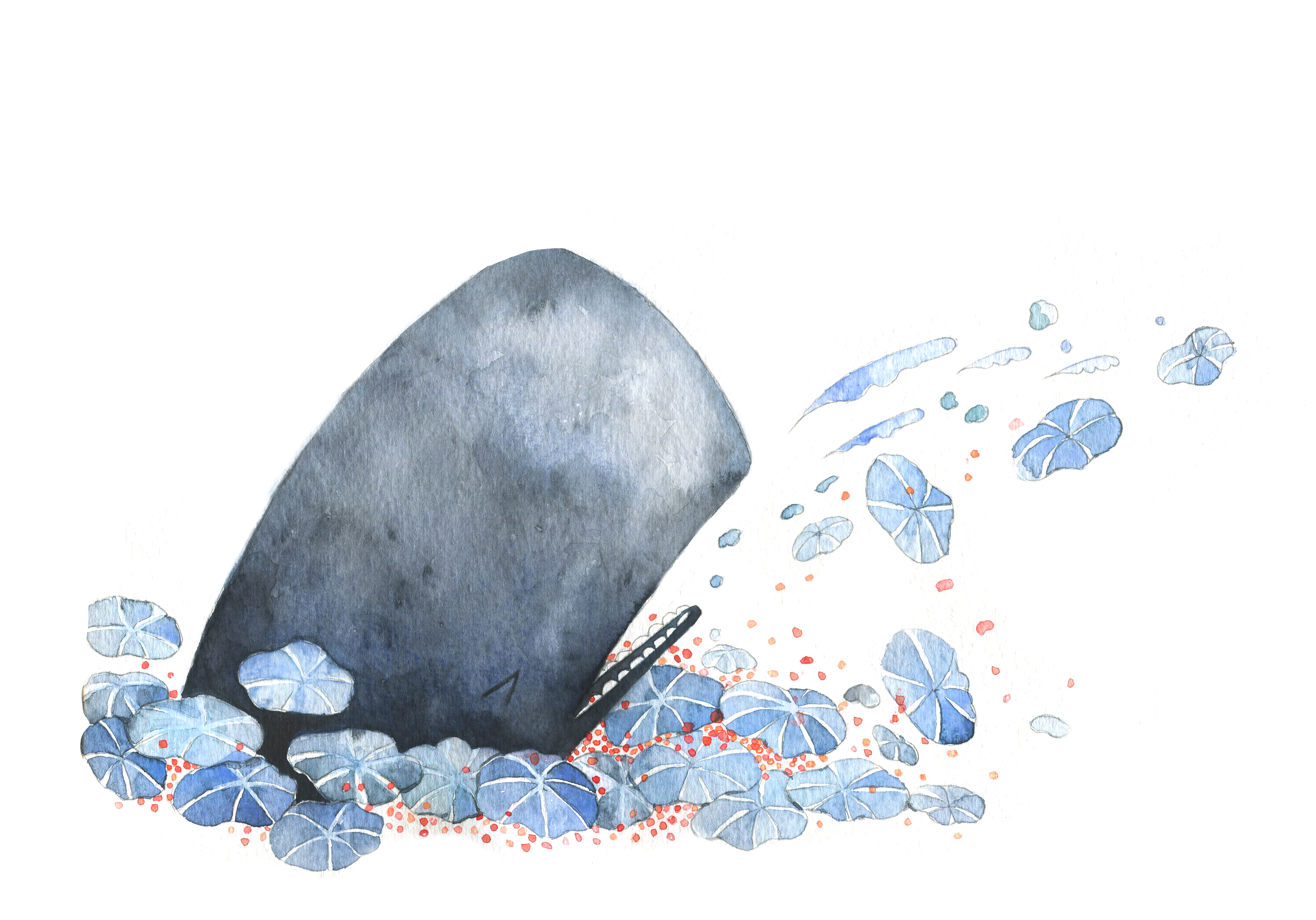 Whale sea a little boy (7).jpg