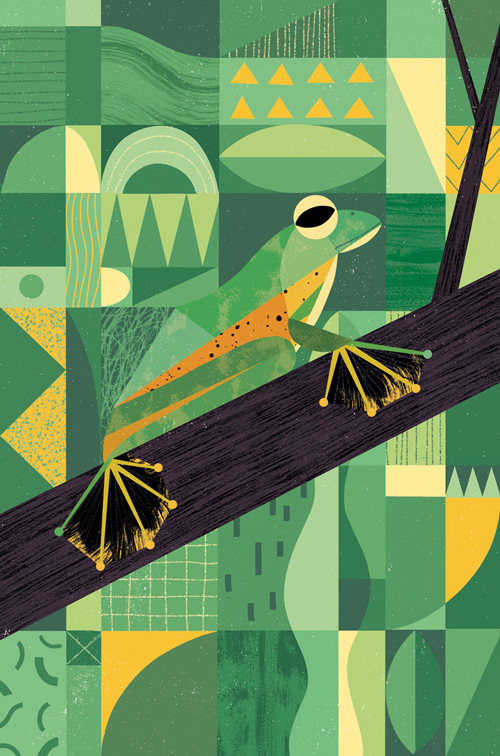 print animals Ecology Palm Oil jungle Tree (3).jpg