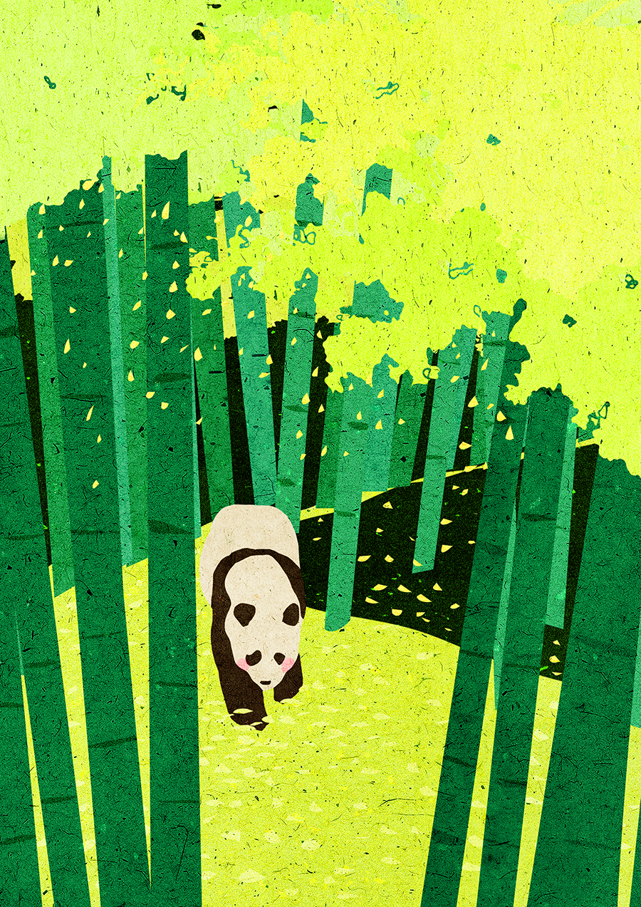 Panda (4).jpg