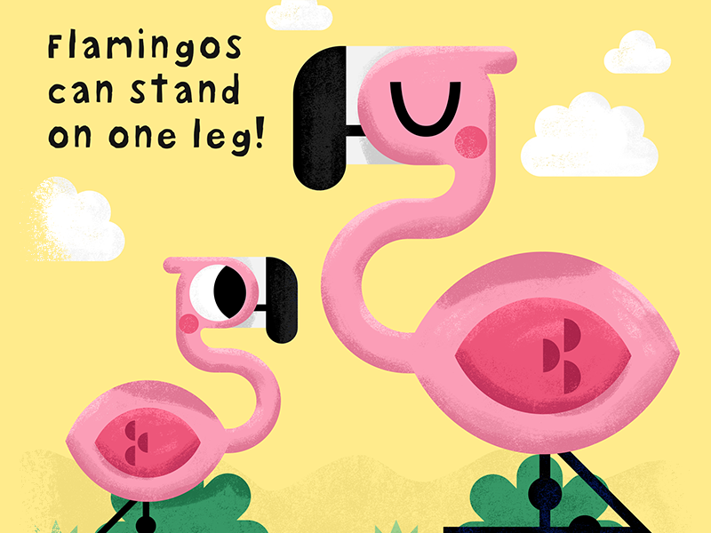 Did you know that.. animal boardbook book cute fact flamingo illustrat.png