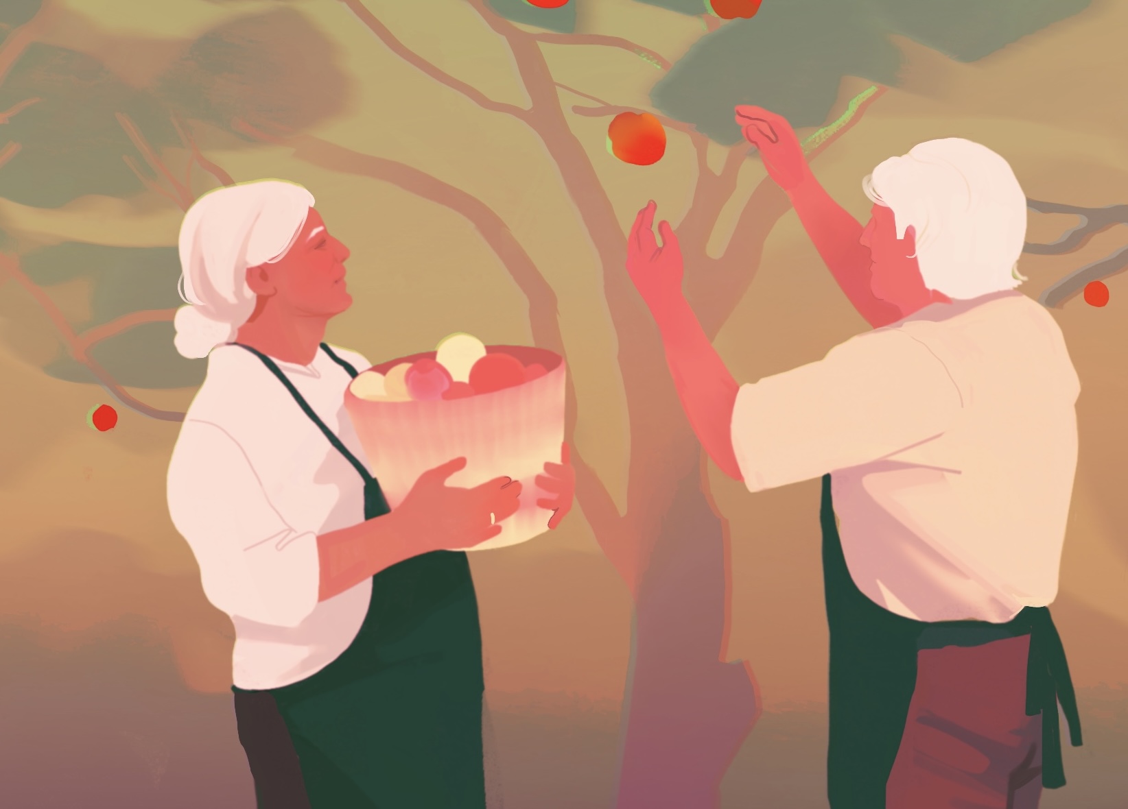 Harvest illustration-2.jpg