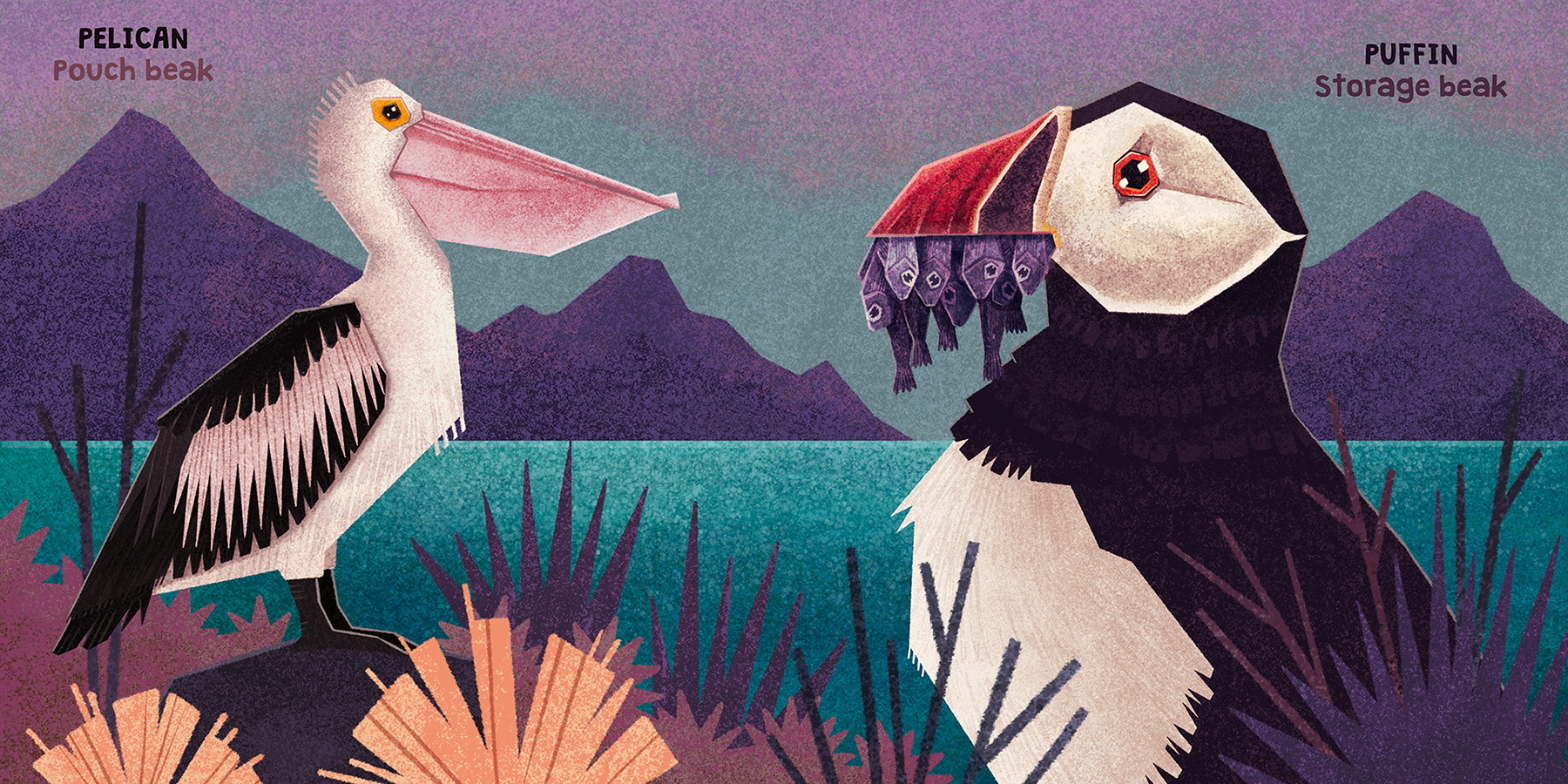 Bird Illustration childrensbook kidlit kidlitart Picture book Procreat.jpg