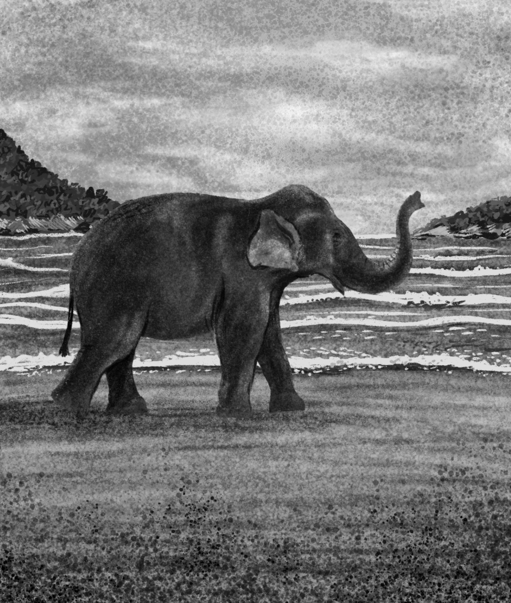 BOOK ILLUSTRATION - ANIMALIA INDICA on Behance (7).jpg