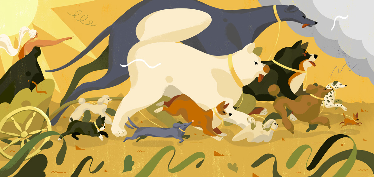 dogs chariot Intercom team dogsledding.jpg