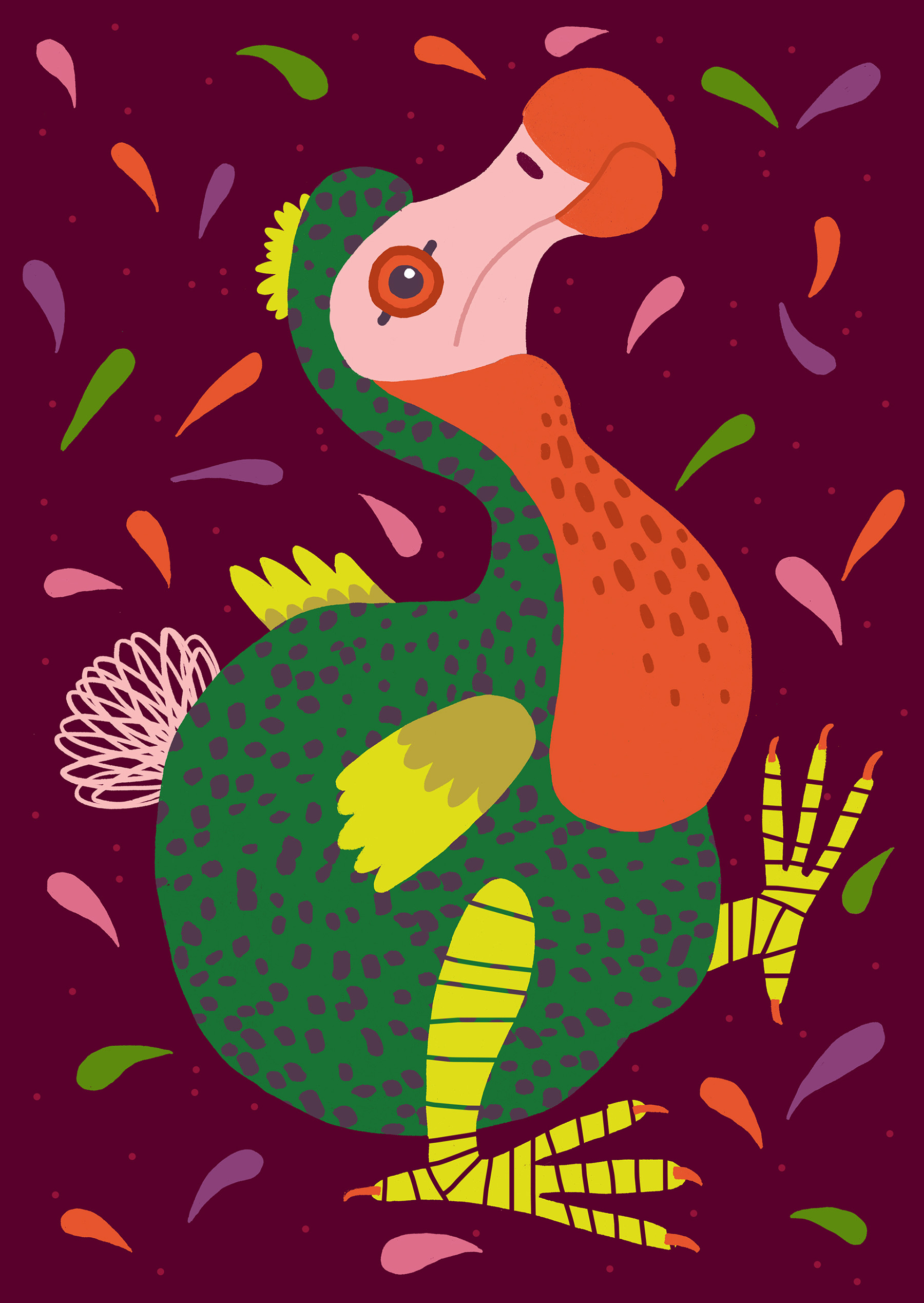 bird birds animals duck mallard hornbill cockatiel Rooster pigeon dove (7).jpg
