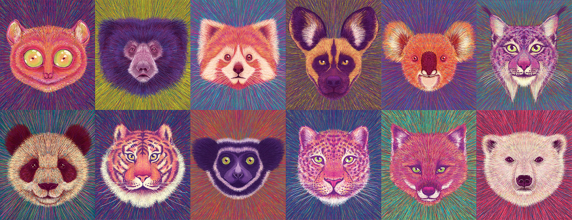endangered species tiger wildlife bear climate change endangered fores (9).jpg