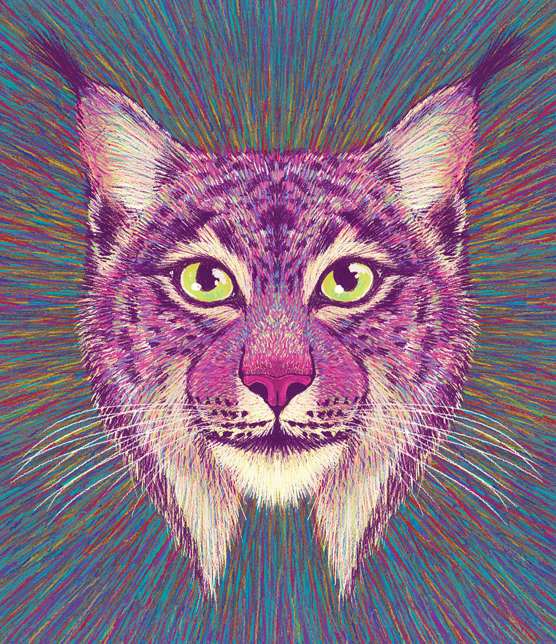 endangered species tiger wildlife bear climate change endangered fores (5).jpg