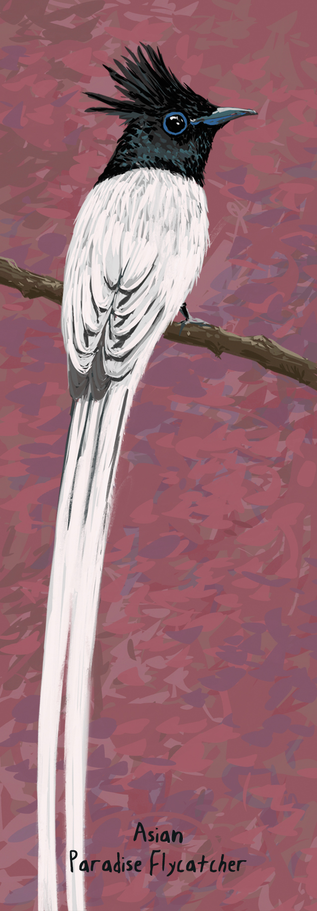 Image may contain bird, art and animal.jpg