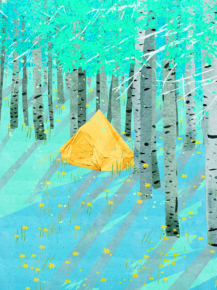 adobe illustrator art artwork camping Digital Art  digital illustratio (6).jpg