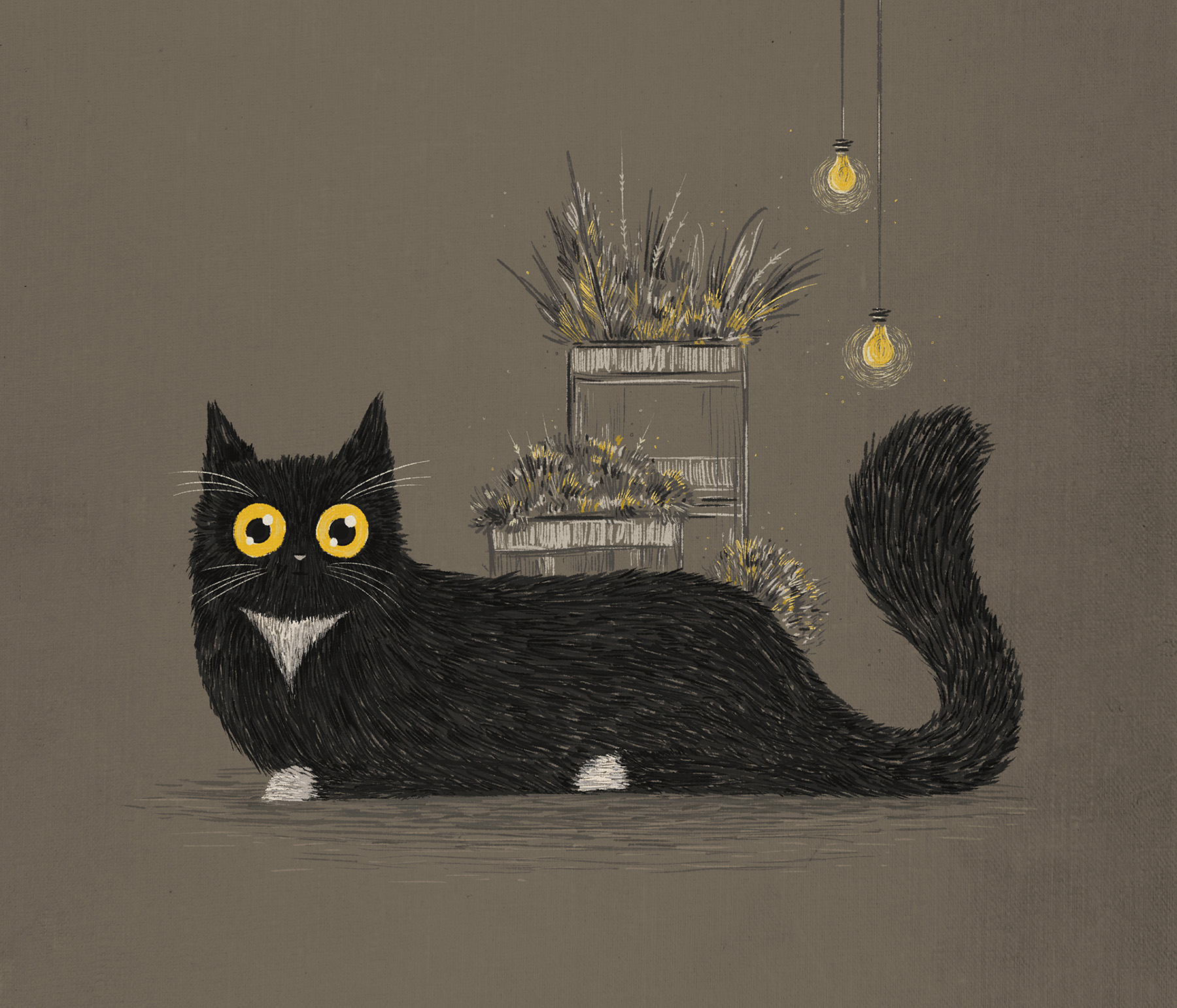 India Cat owl FOX Evening cozy chalk brush Fur bulb.jpg