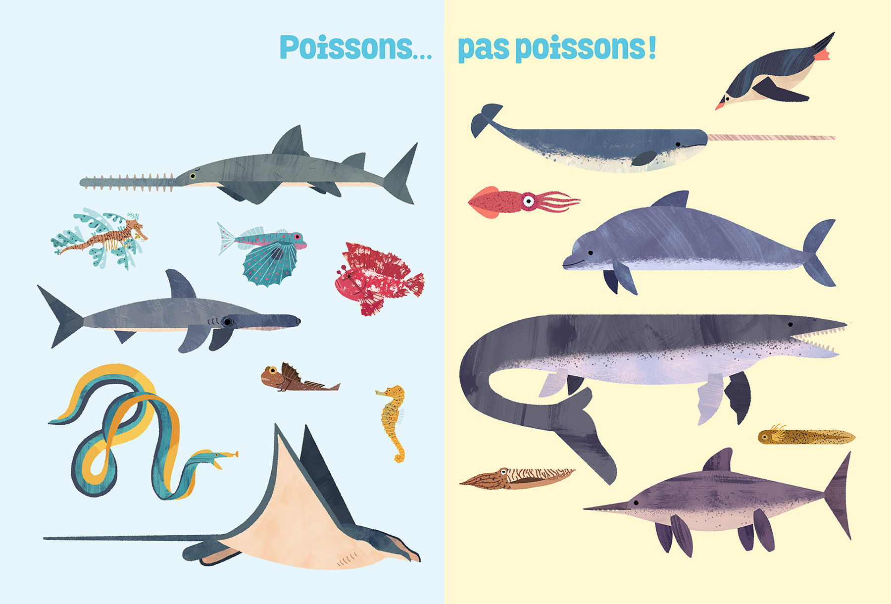 dog Cat Planets kid animals fish mammal (3).jpg