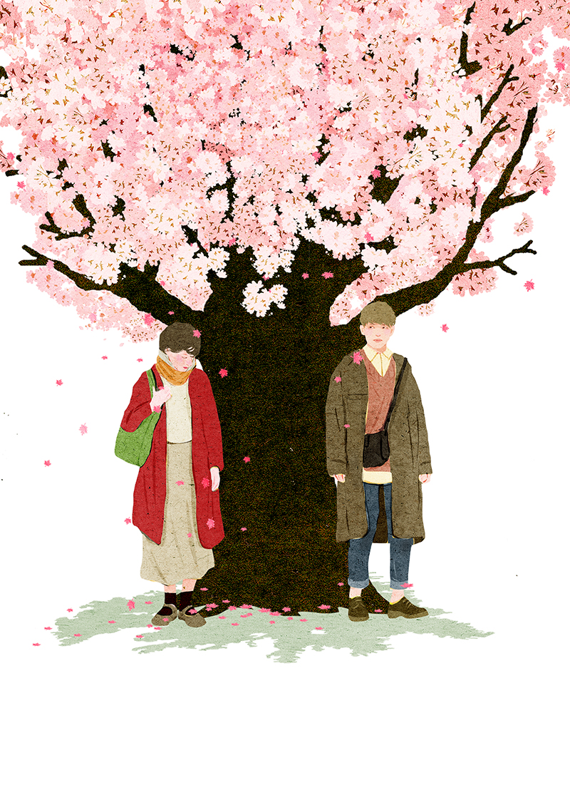 Cherry Blossom on Behance (4).jpg