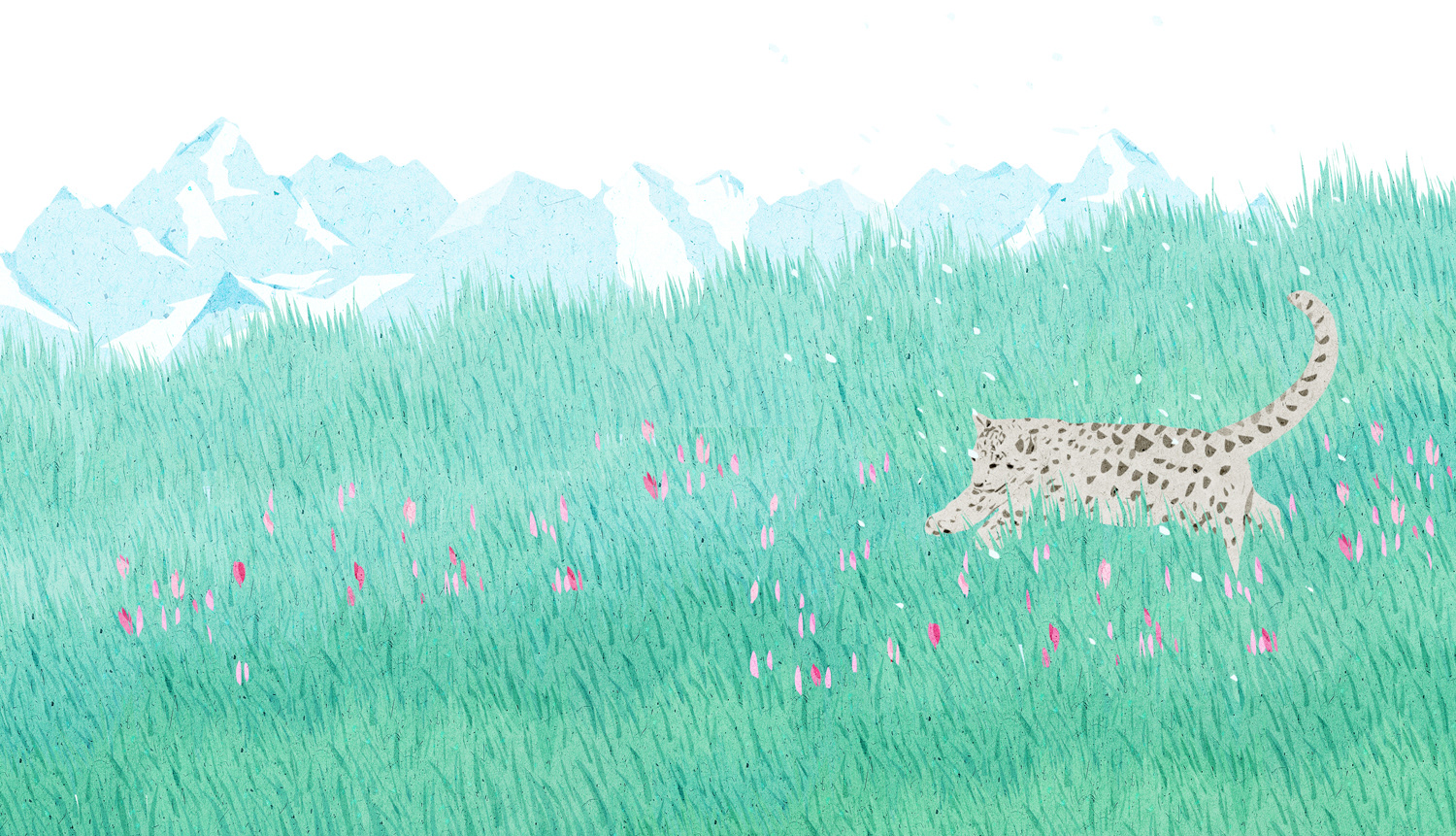 SNOW LEOPARD on Behance (4).jpg