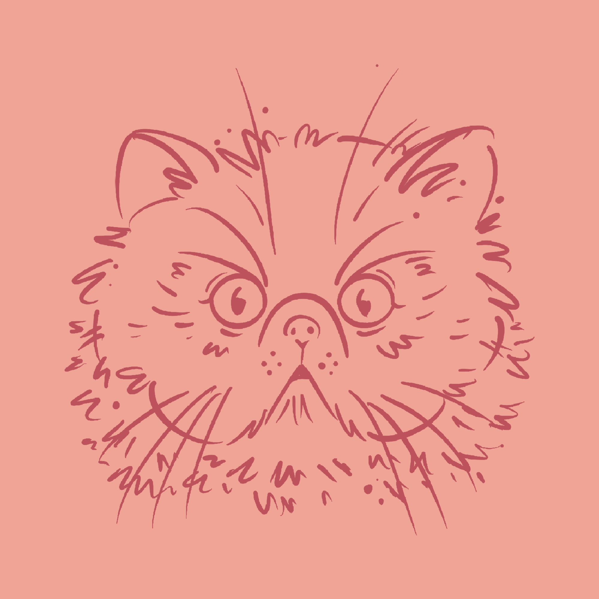 SKETCHY PETS on Behance (2).jpg