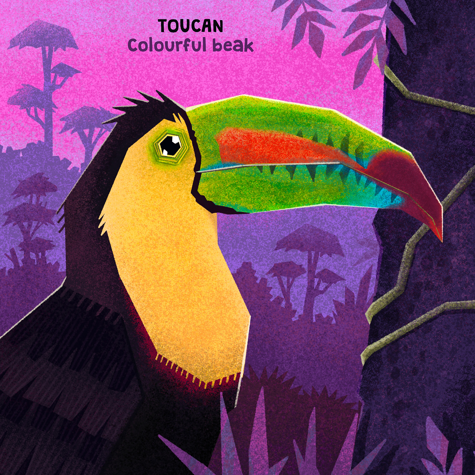 ALL ABOUT BEAKS on Behance.jpg