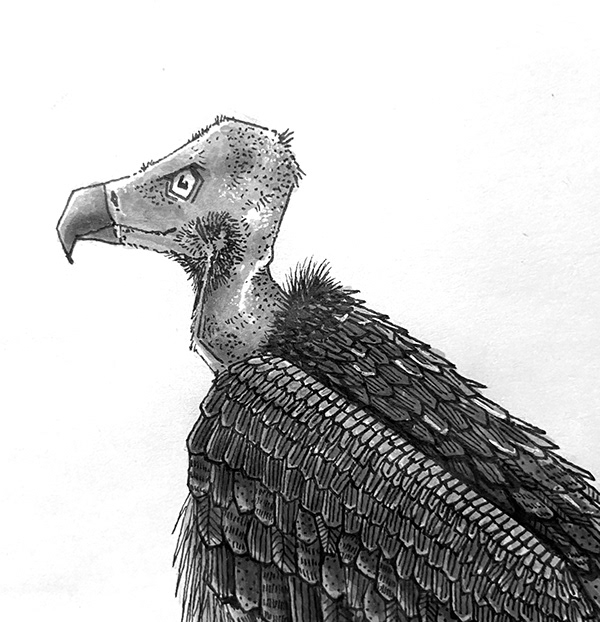 Image may contain sketch, drawing and art.jpg