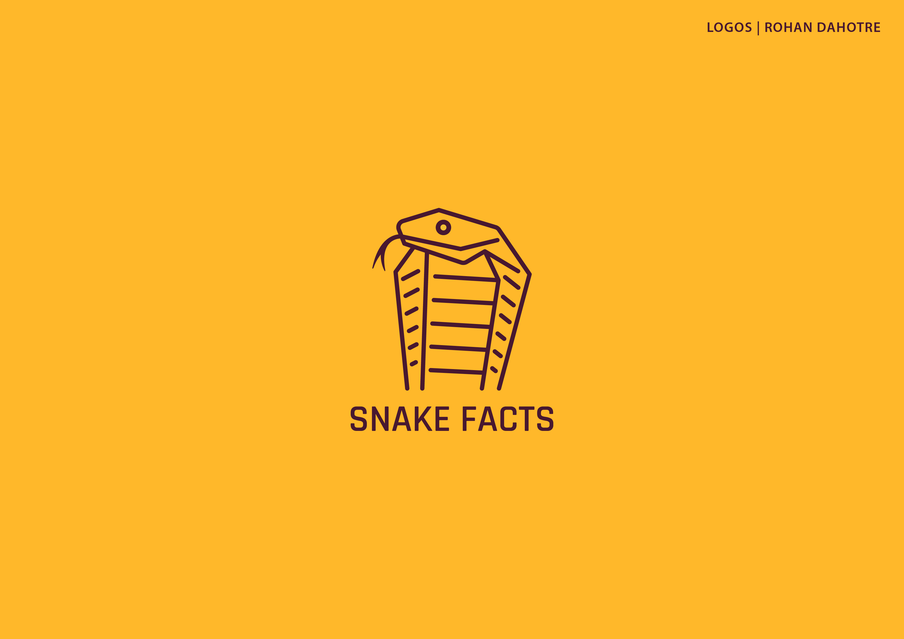 animals brand identity Graphic Designer Logo Design logos minimal vect (8).jpg