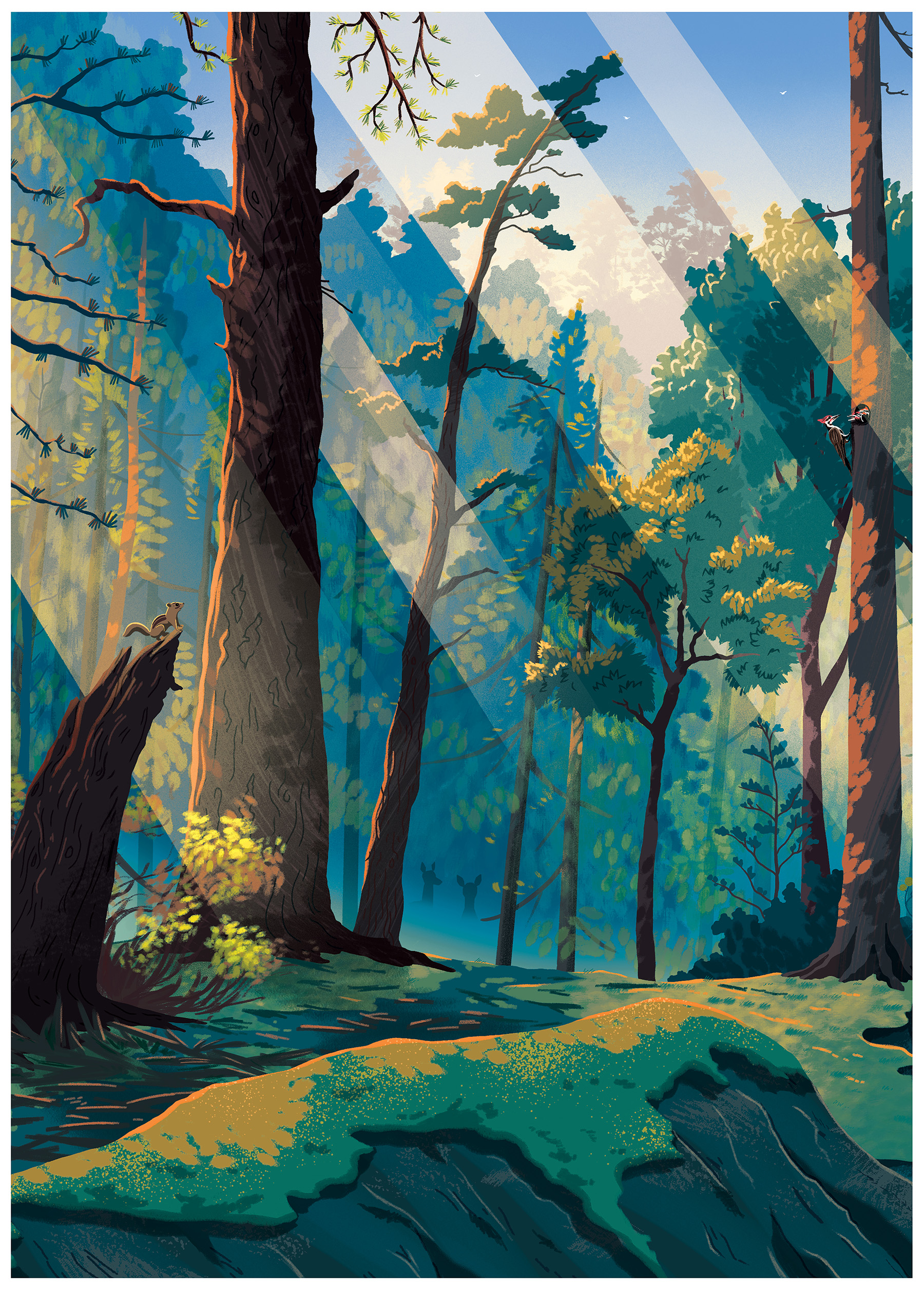airbnb home cabin magazine cover woods forest ILLUSTRATION (2).jpg