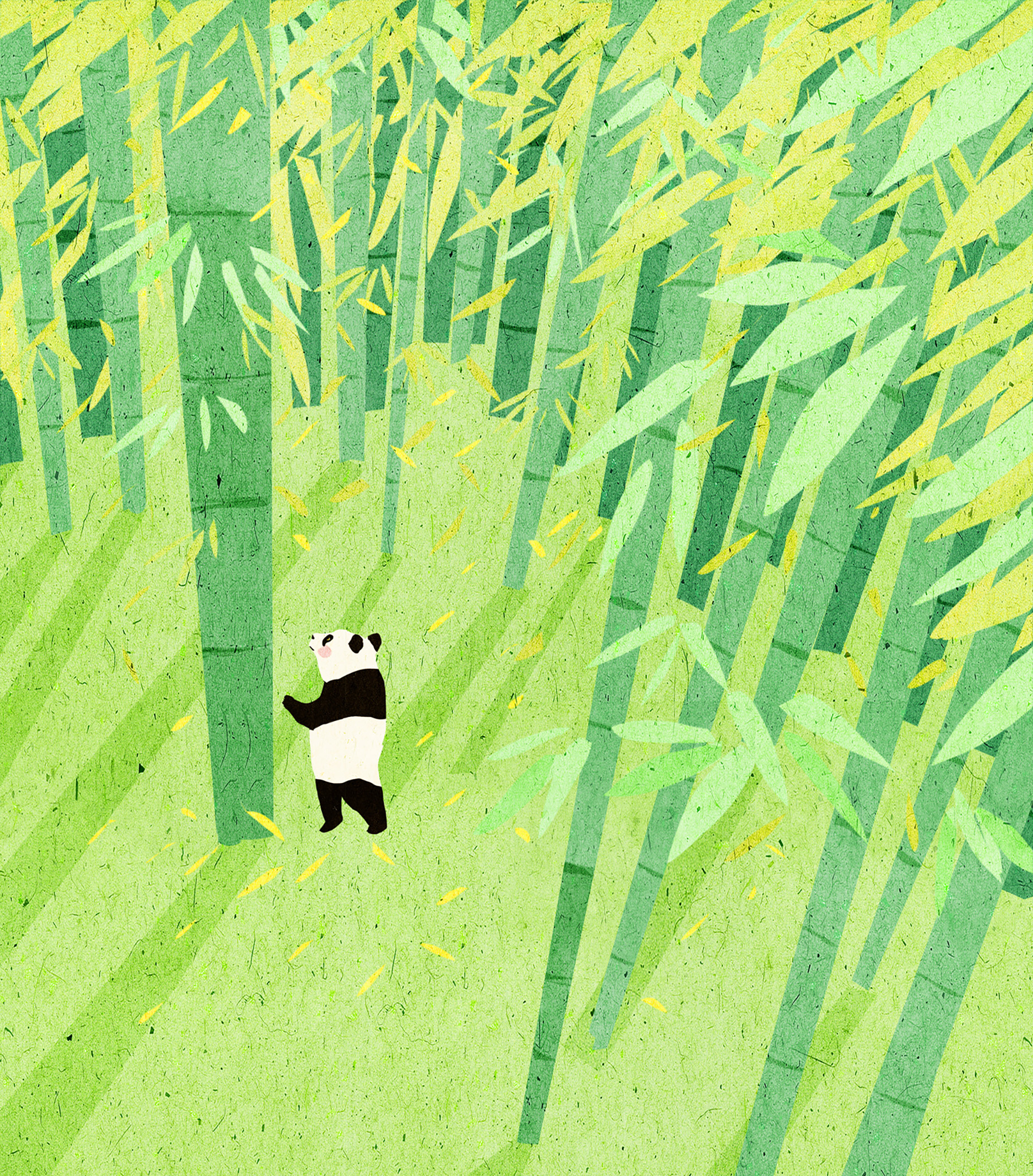 Giant Panda on Behance (5).jpg